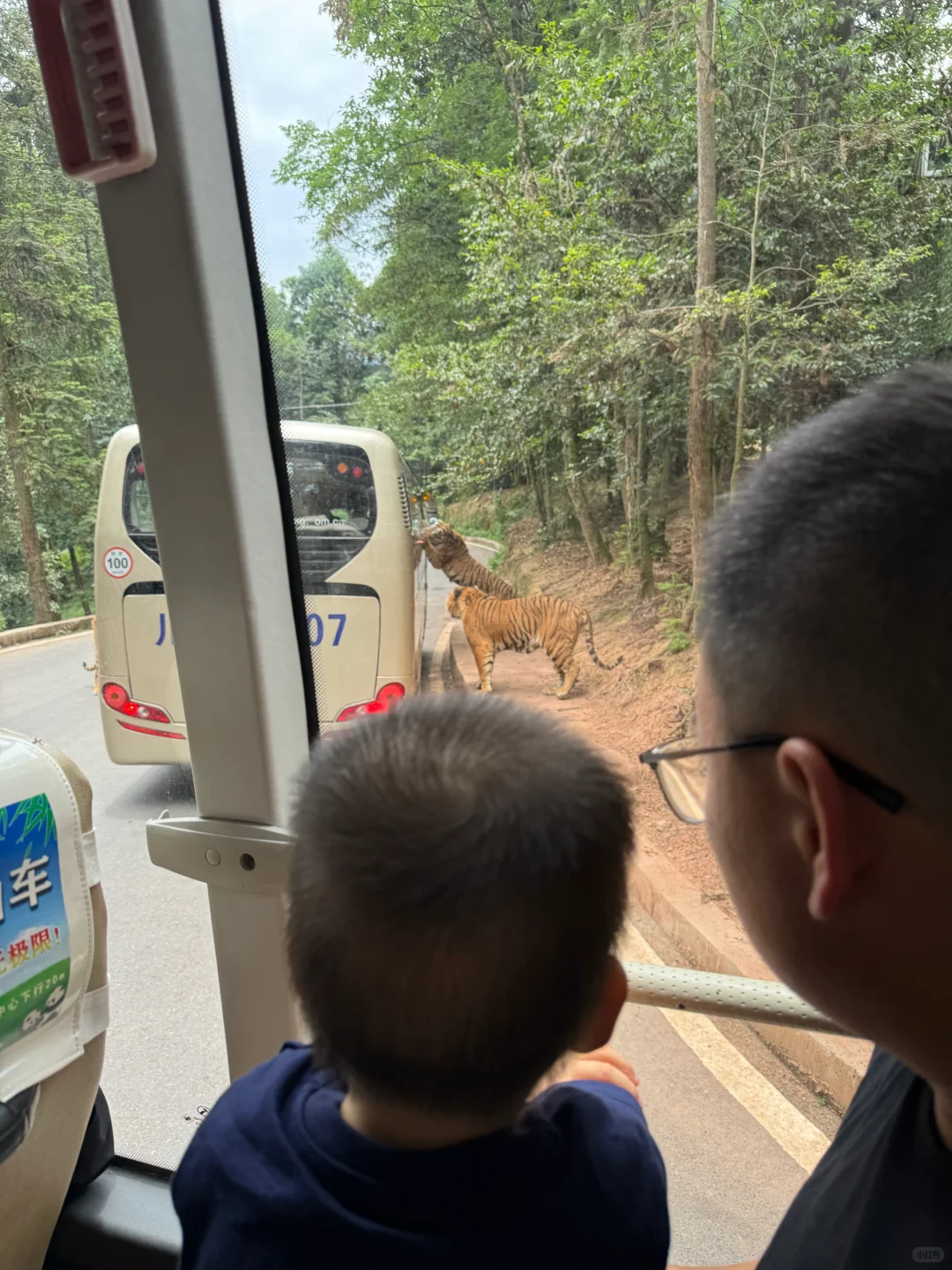 碧峰峡会惩罚每一个不做攻略的家长!