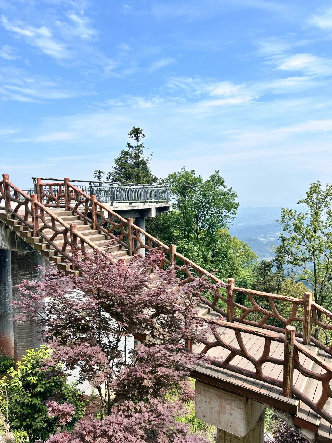 📍雅安·蒙顶山||茶韵千年，云游蒙顶