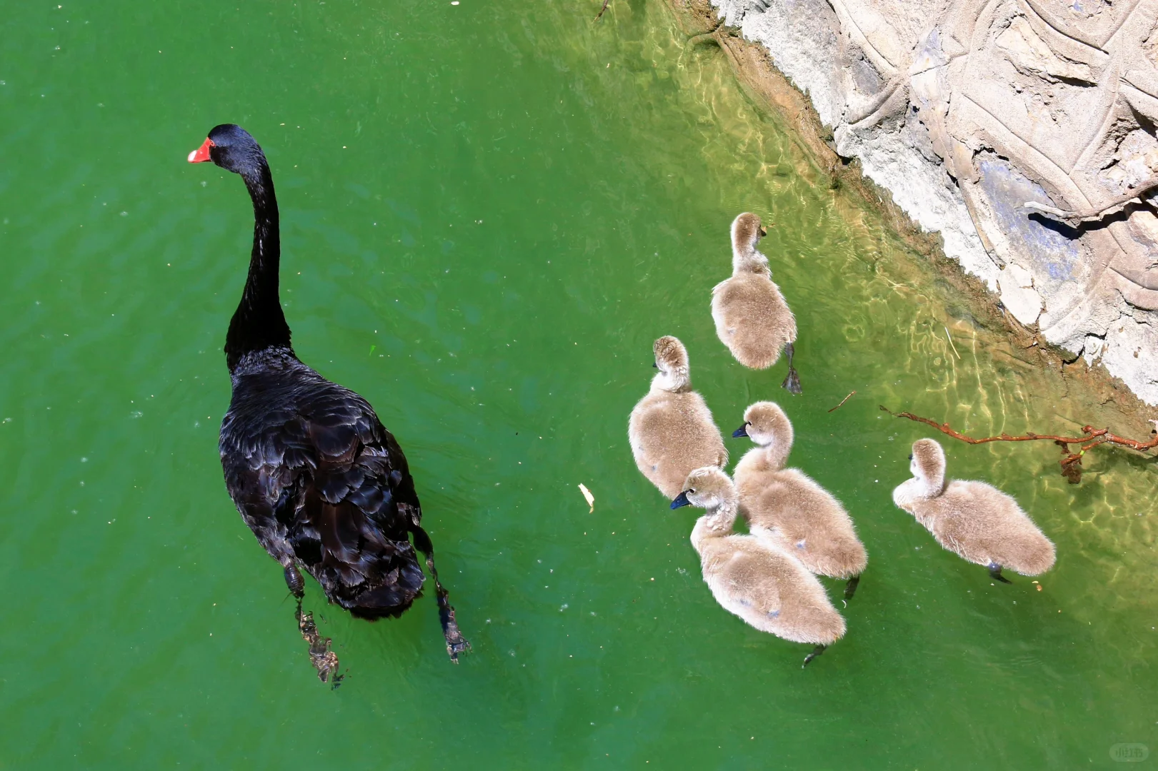 颐和园，太美了。