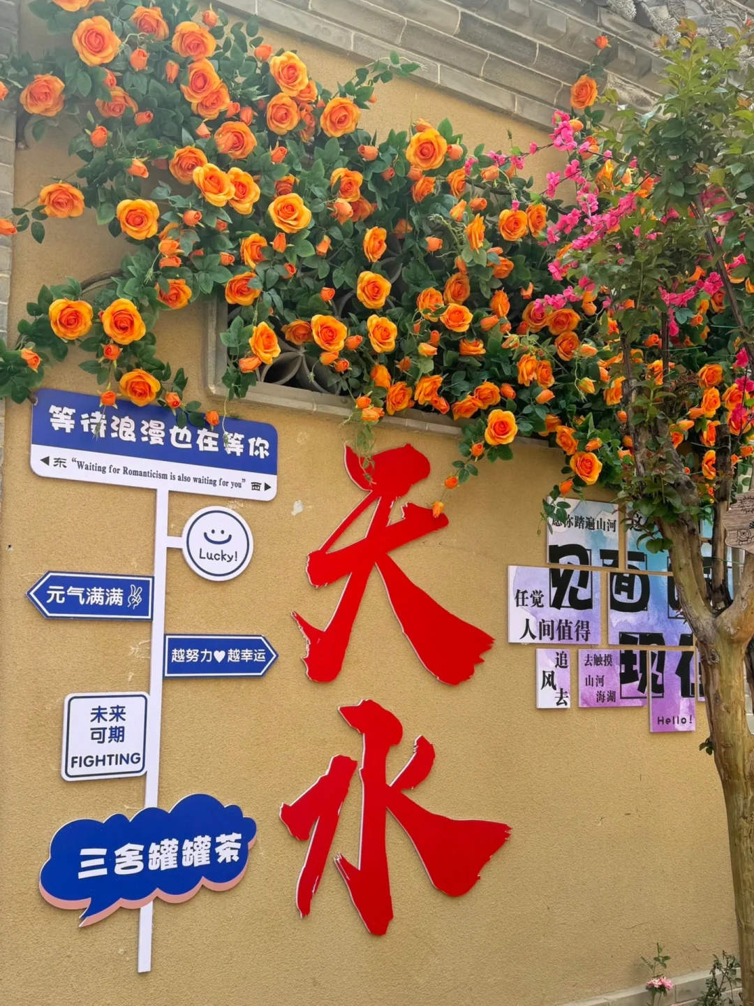 🌟7月带爸妈去天水避暑！均温22度，体验超棒