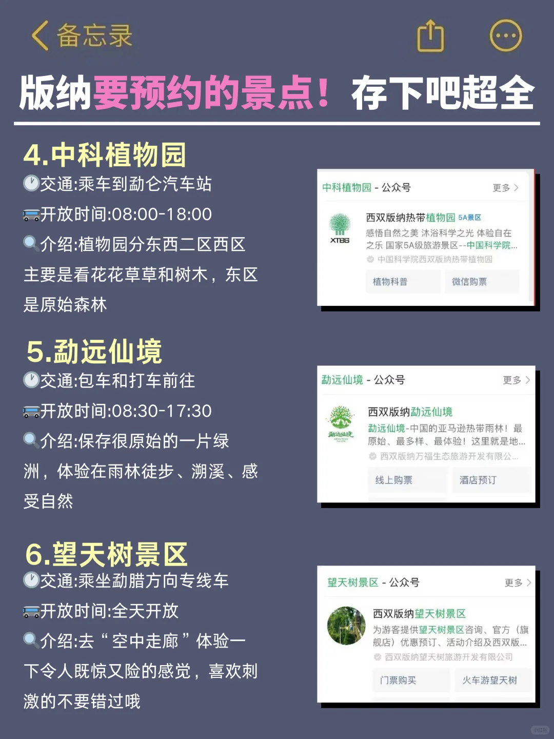 去版纳前,听点不一样的大实话.…