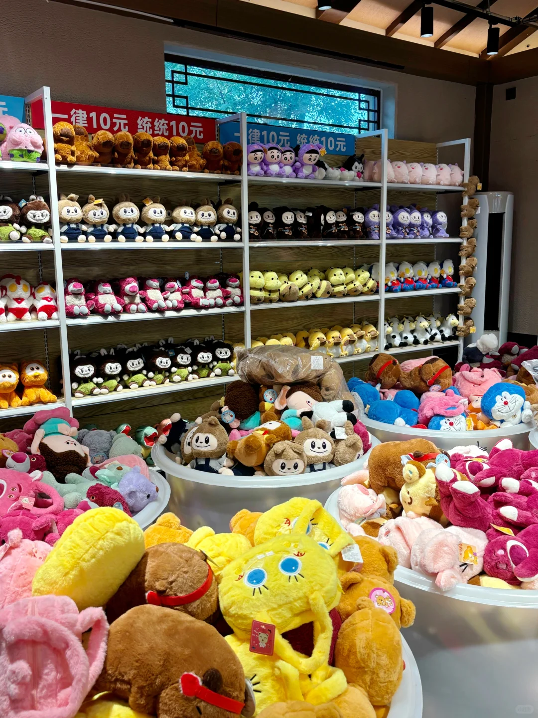 开启泰山隐藏副本,偶遇绝美落日飞车🎢