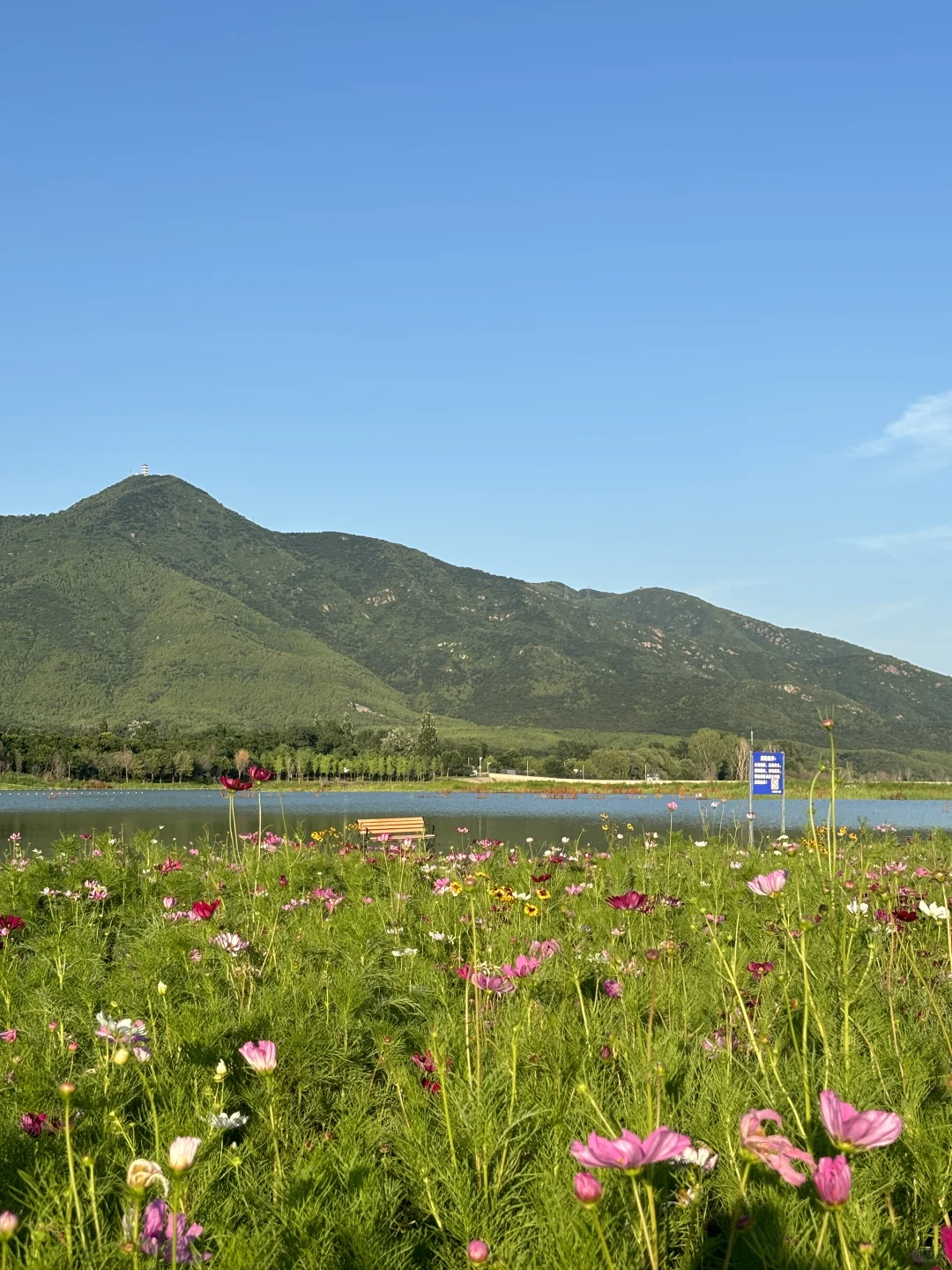 北京,真的不缺宝藏公园❗️
