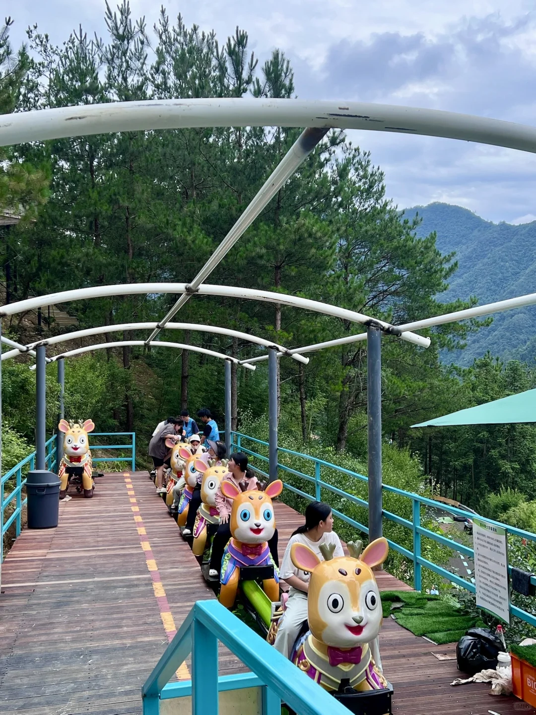 朋友圈问疯了！！都以为我去国外度假了🤣🌲