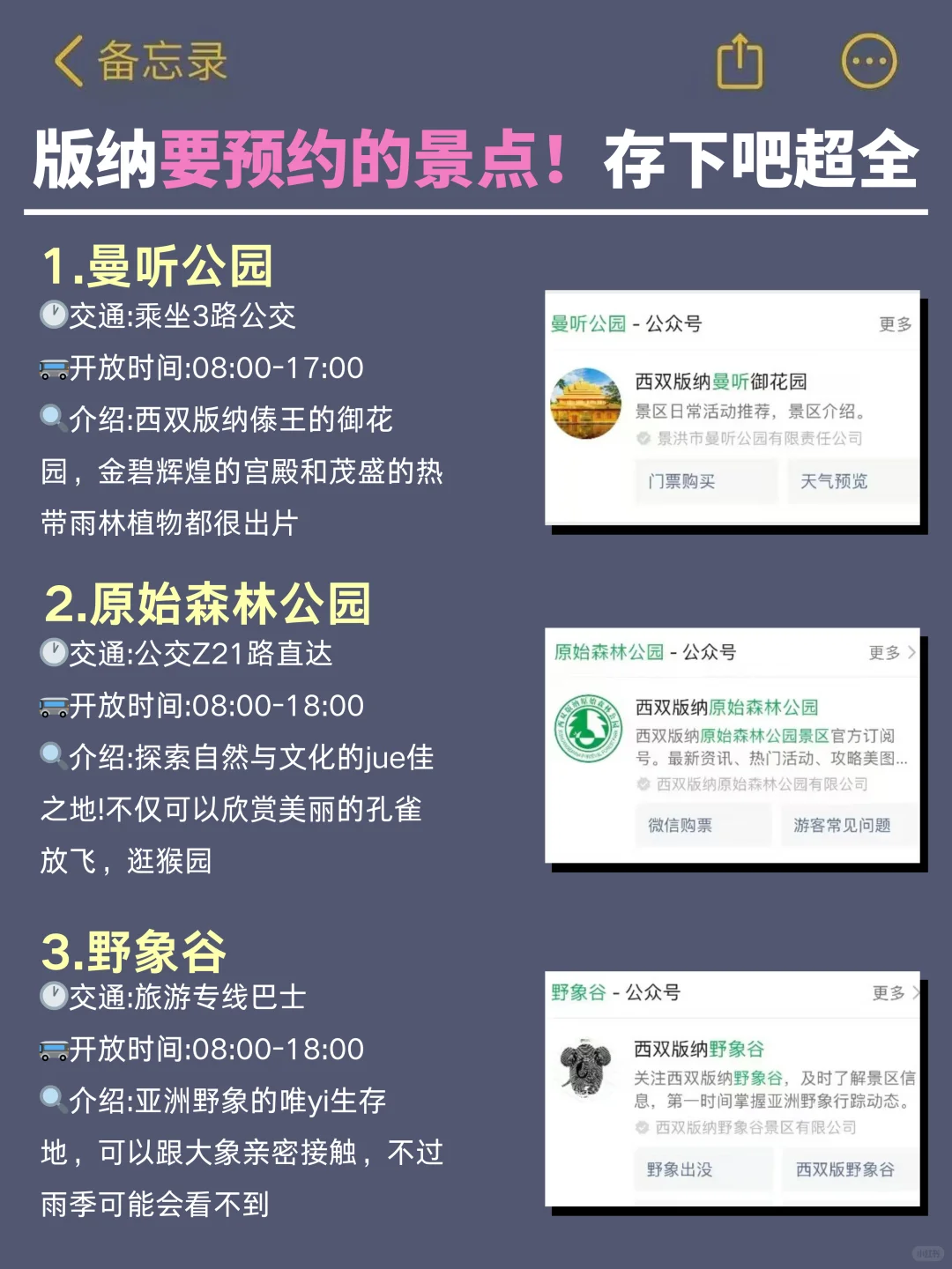 去版纳前,听点不一样的大实话.…
