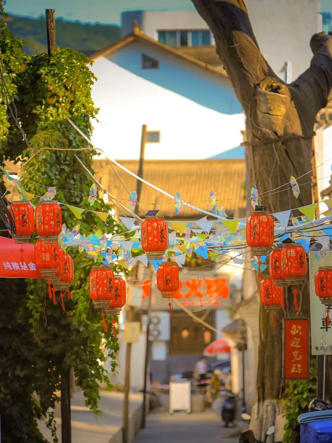 🌟7月带爸妈去天水避暑！均温22度，体验超棒