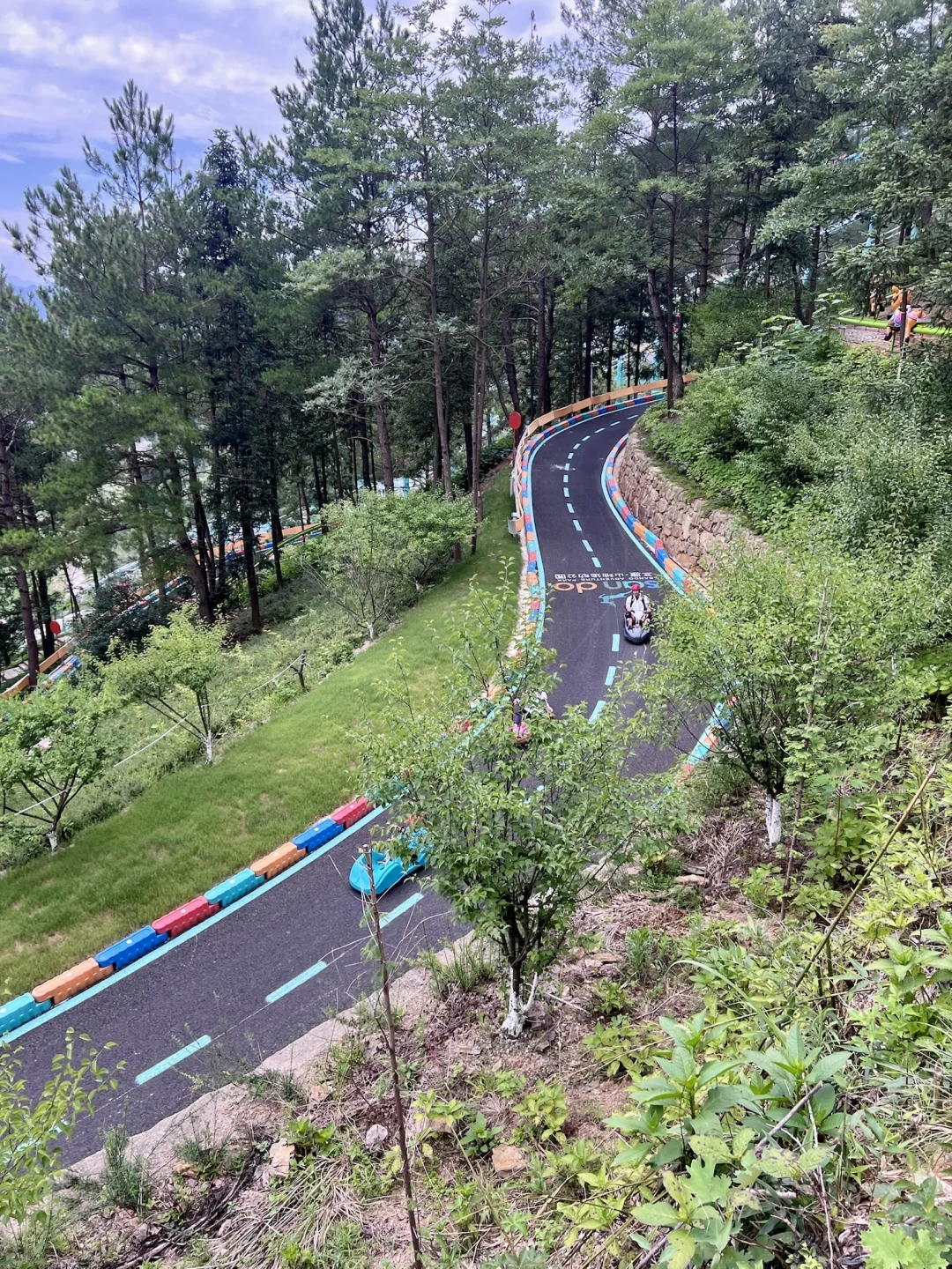 朋友圈问疯了！！都以为我去国外度假了🤣🌲