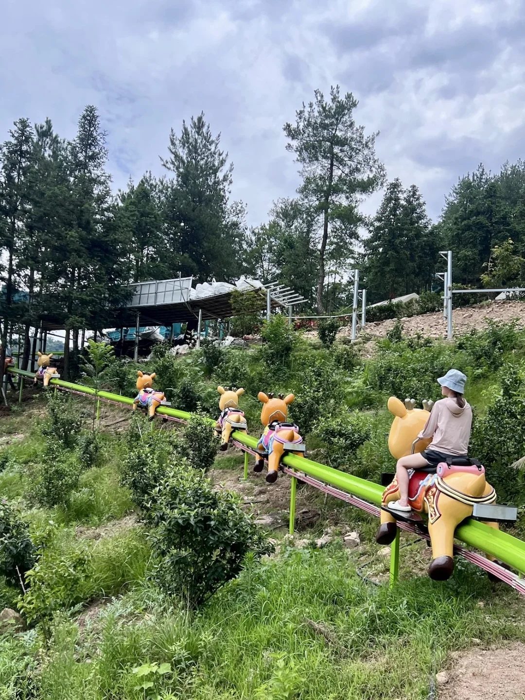 朋友圈问疯了！！都以为我去国外度假了🤣🌲