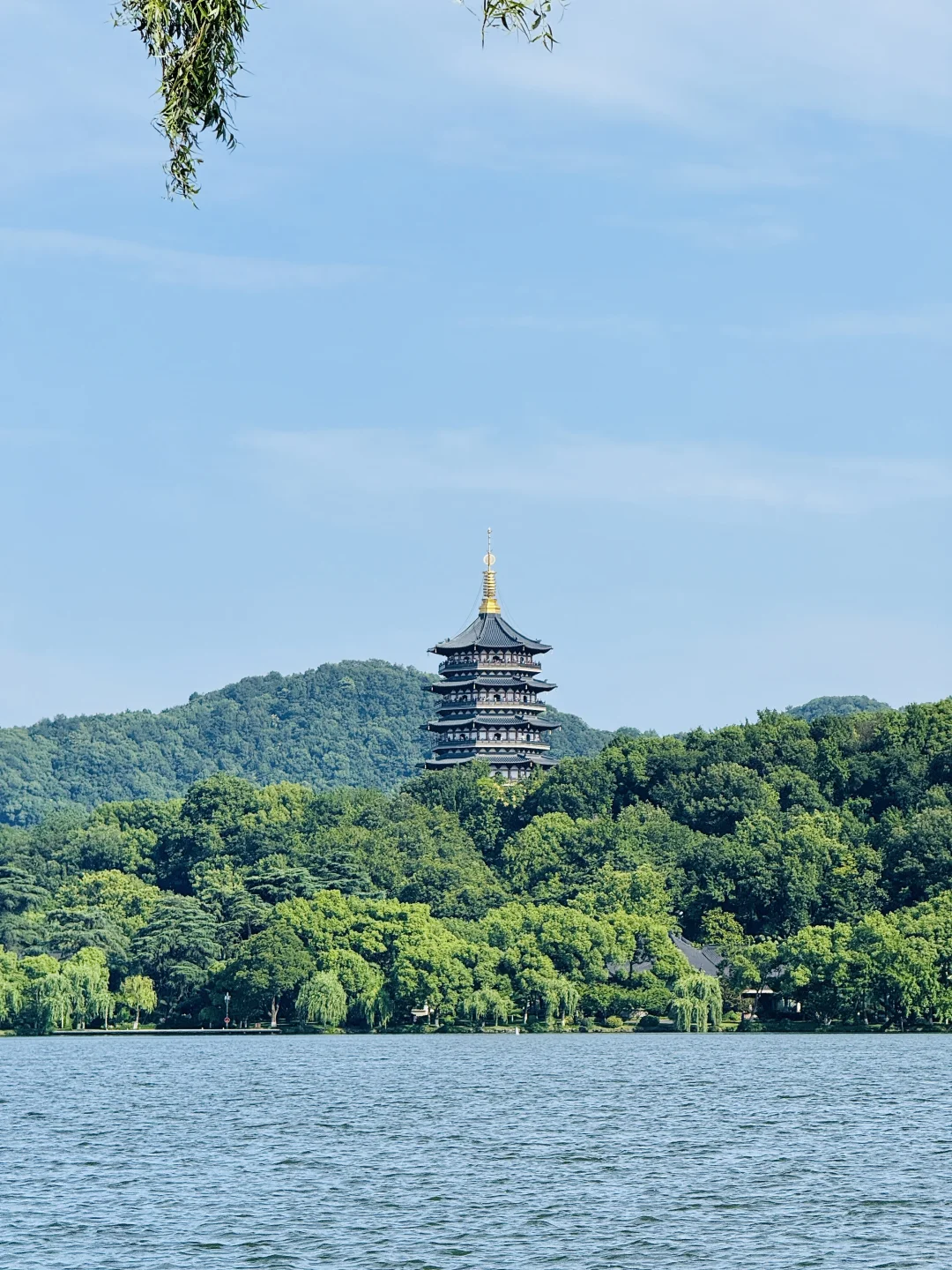 🌲杭州水上巴士｜3元就能体验到的水上江南
