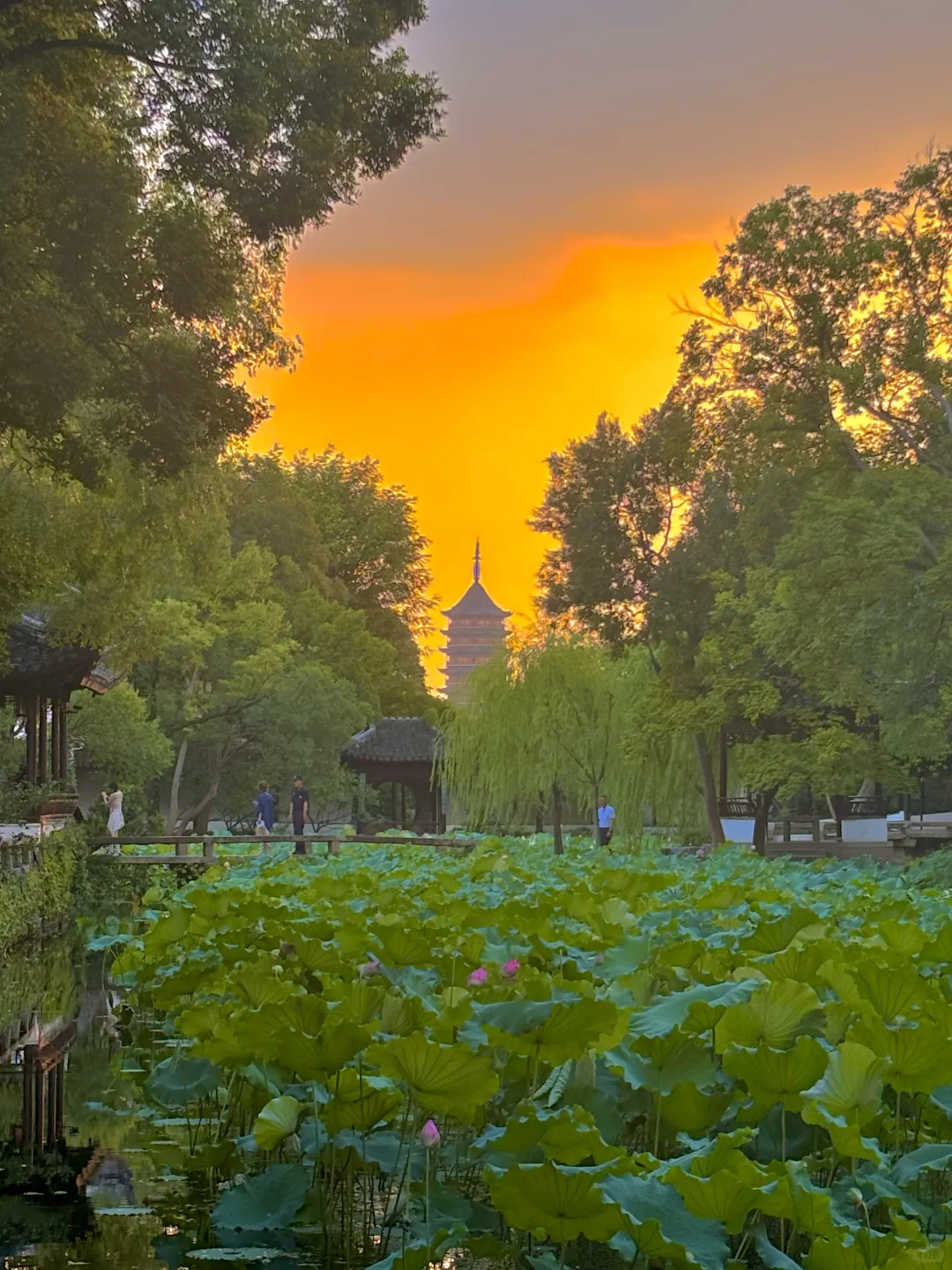 苏州｜1️⃣8️⃣个被问爆机位‼️暑假朋友圈赢麻