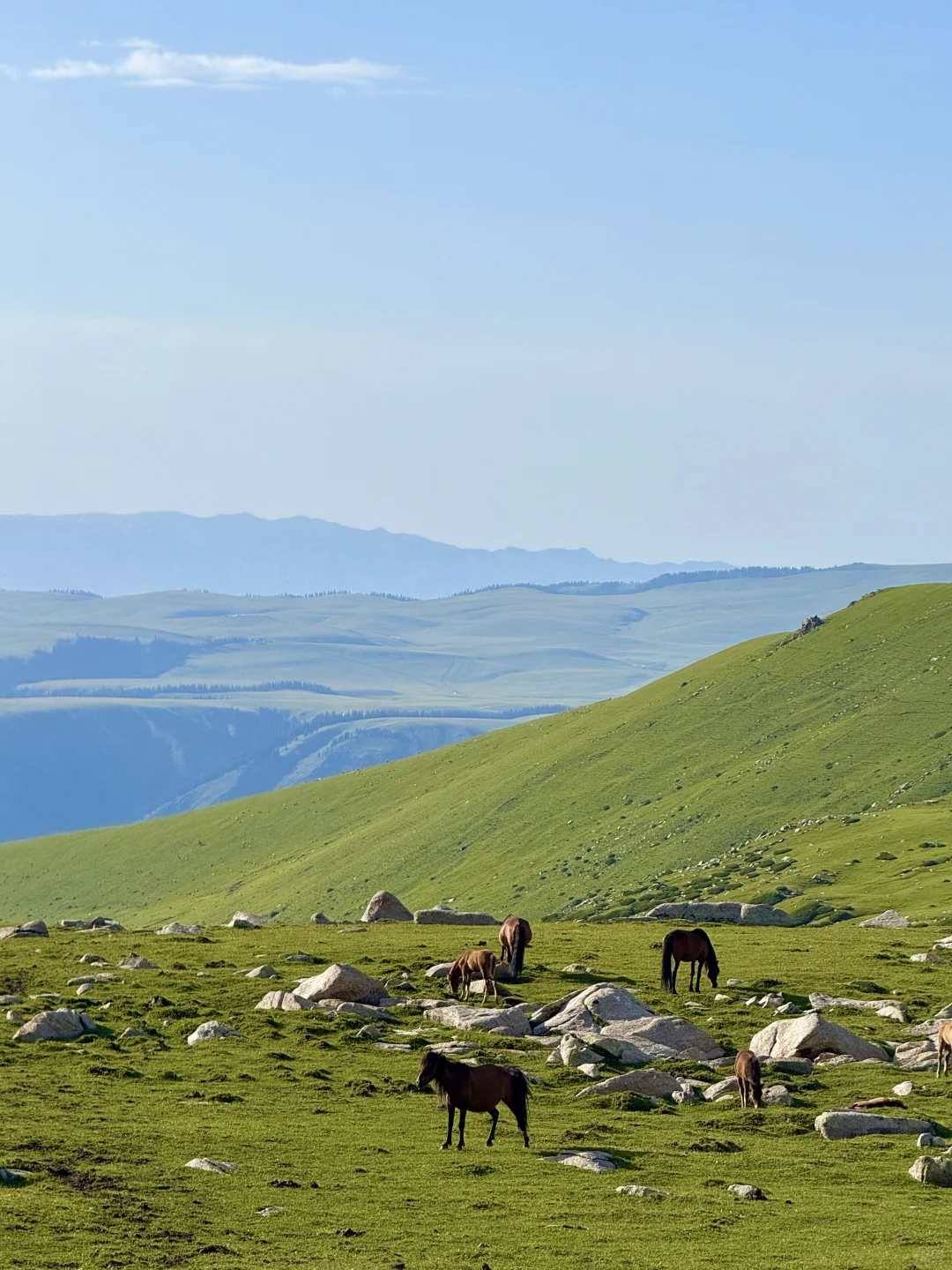 超详细！绝美小众不挤人！新疆暑期旅游攻略📒