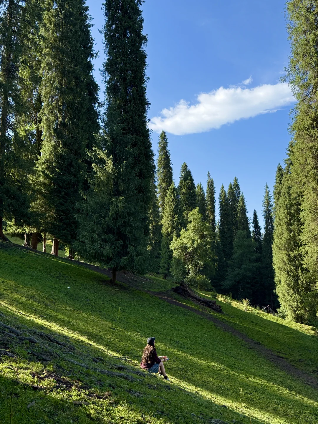 超详细！绝美小众不挤人！新疆暑期旅游攻略📒