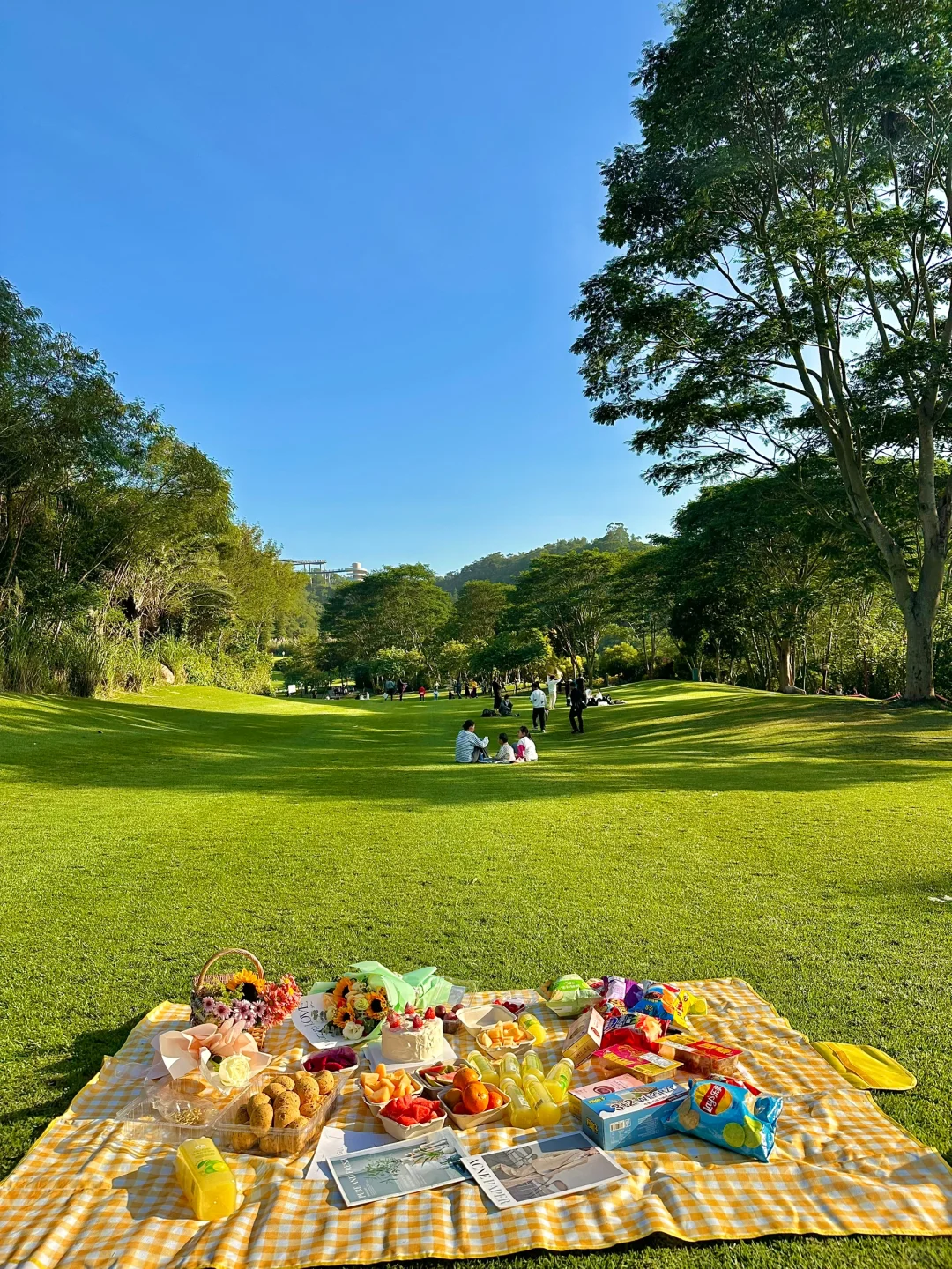 比起鼓浪屿，我更喜欢厦门这🔟个地方…