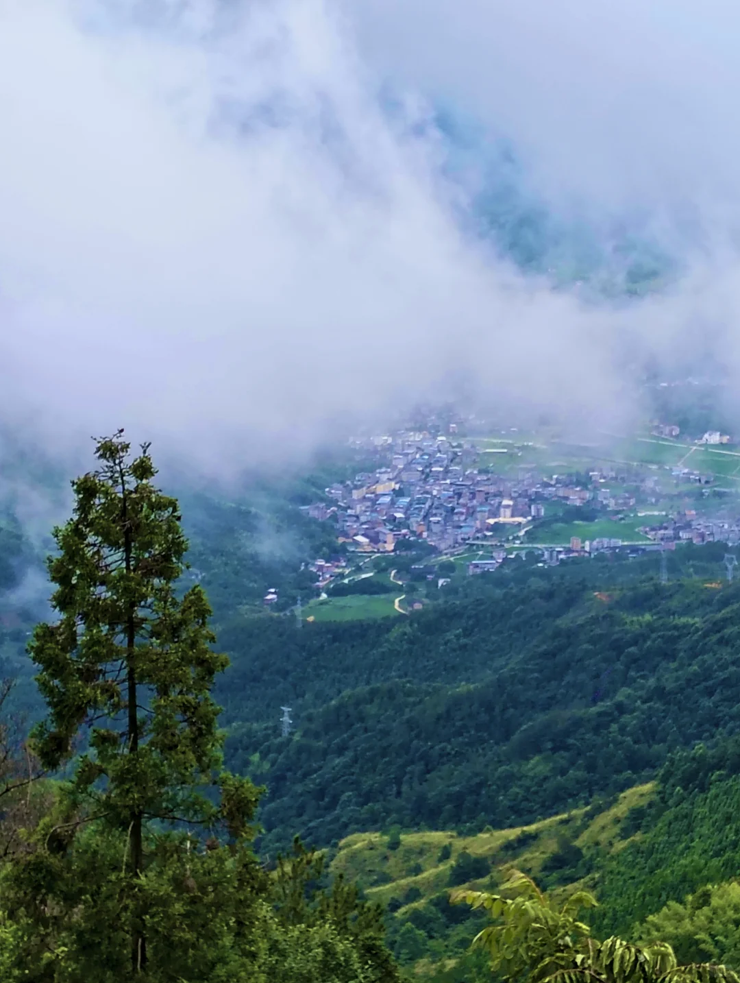 梧溪村,不愧是福建认证的“避暑清凉福地”