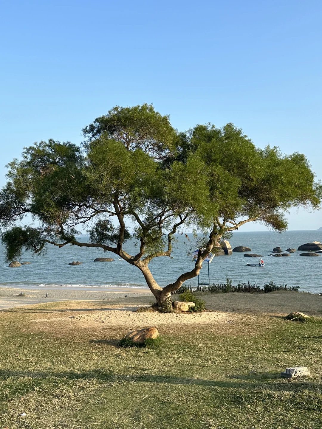 比起鼓浪屿，我更喜欢厦门这🔟个地方…