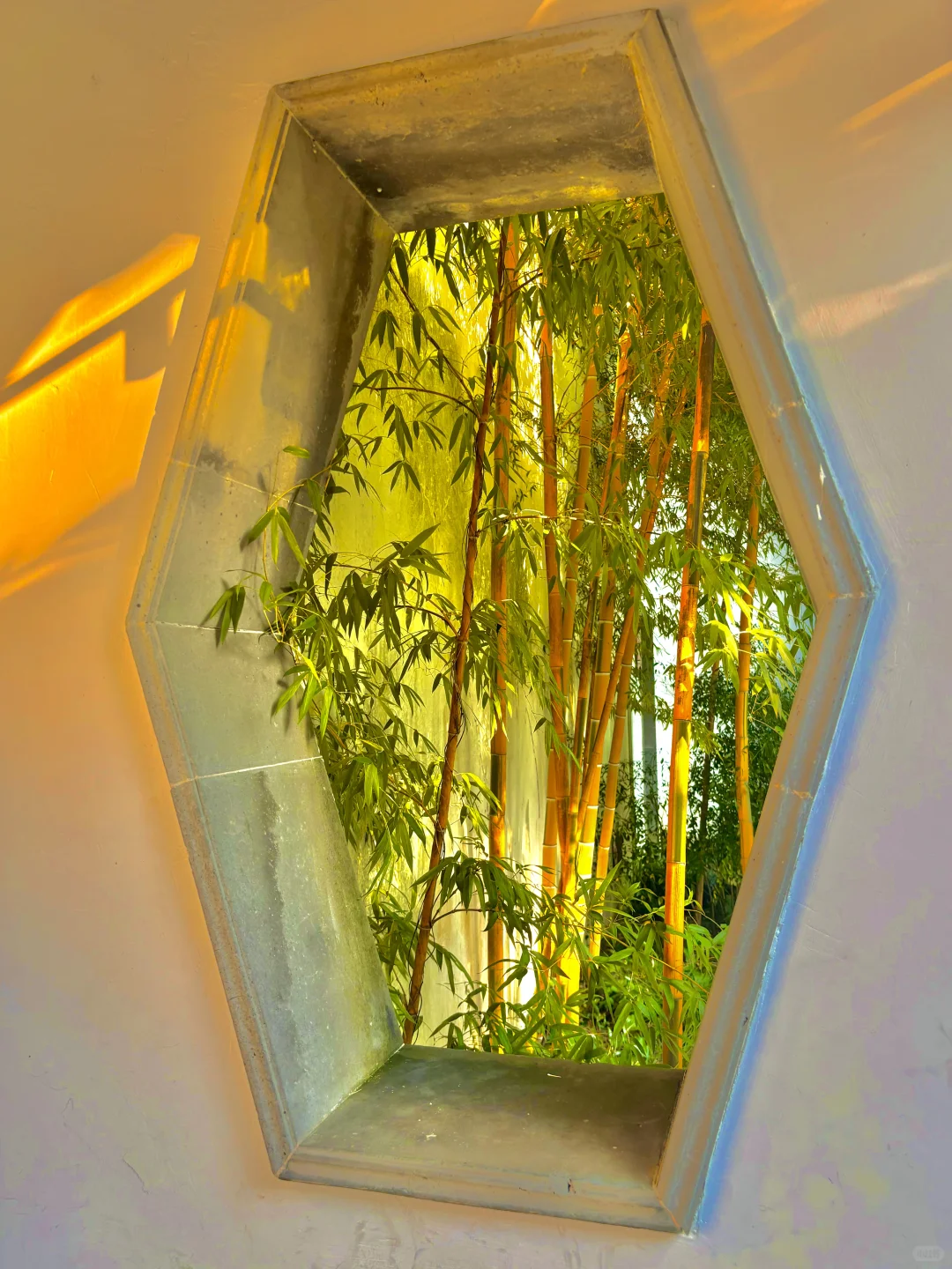 苏州｜1️⃣8️⃣个被问爆机位‼️暑假朋友圈赢麻