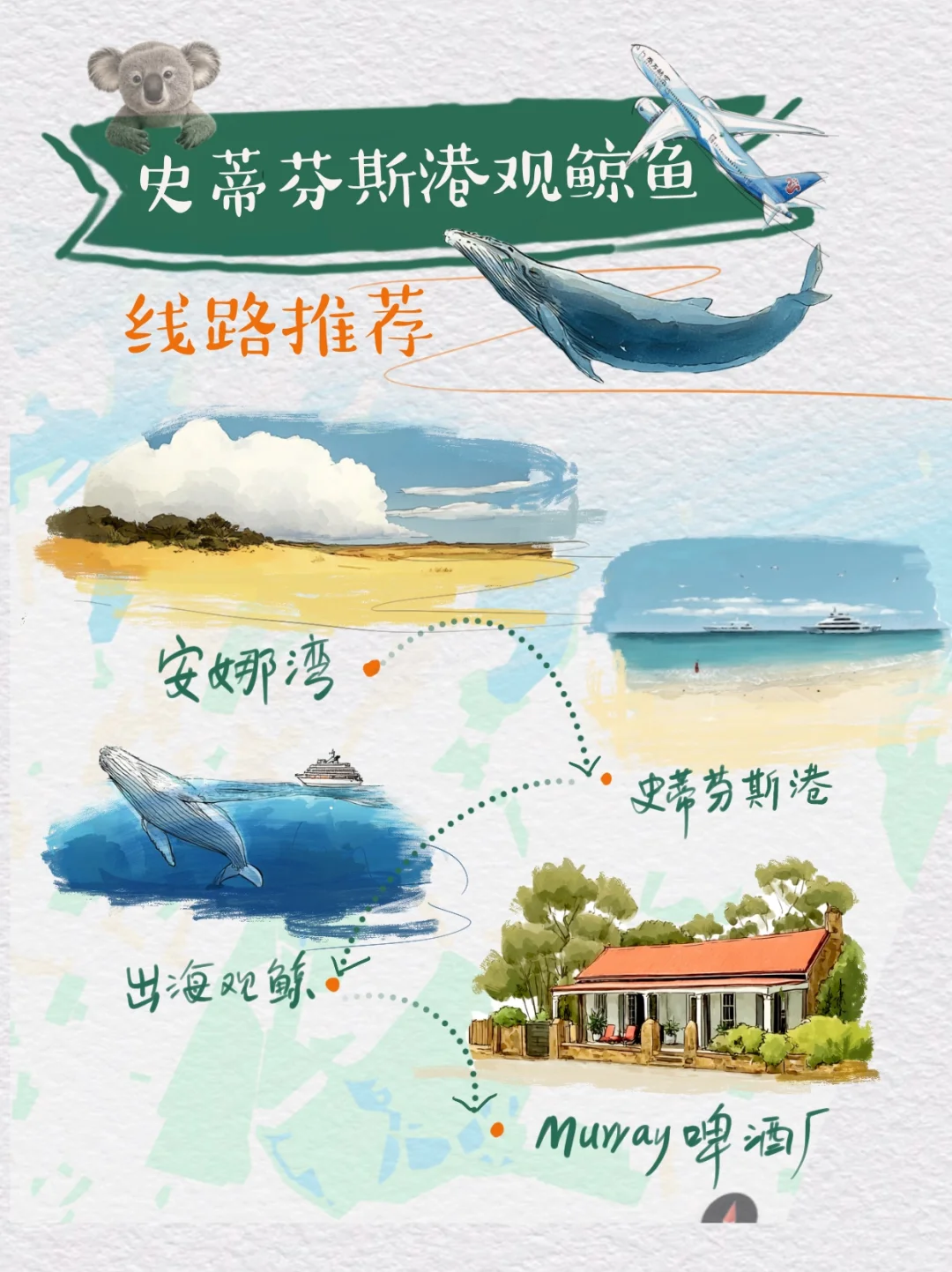 悉尼自由行攻略来啦❗️看着一篇攻略就够了