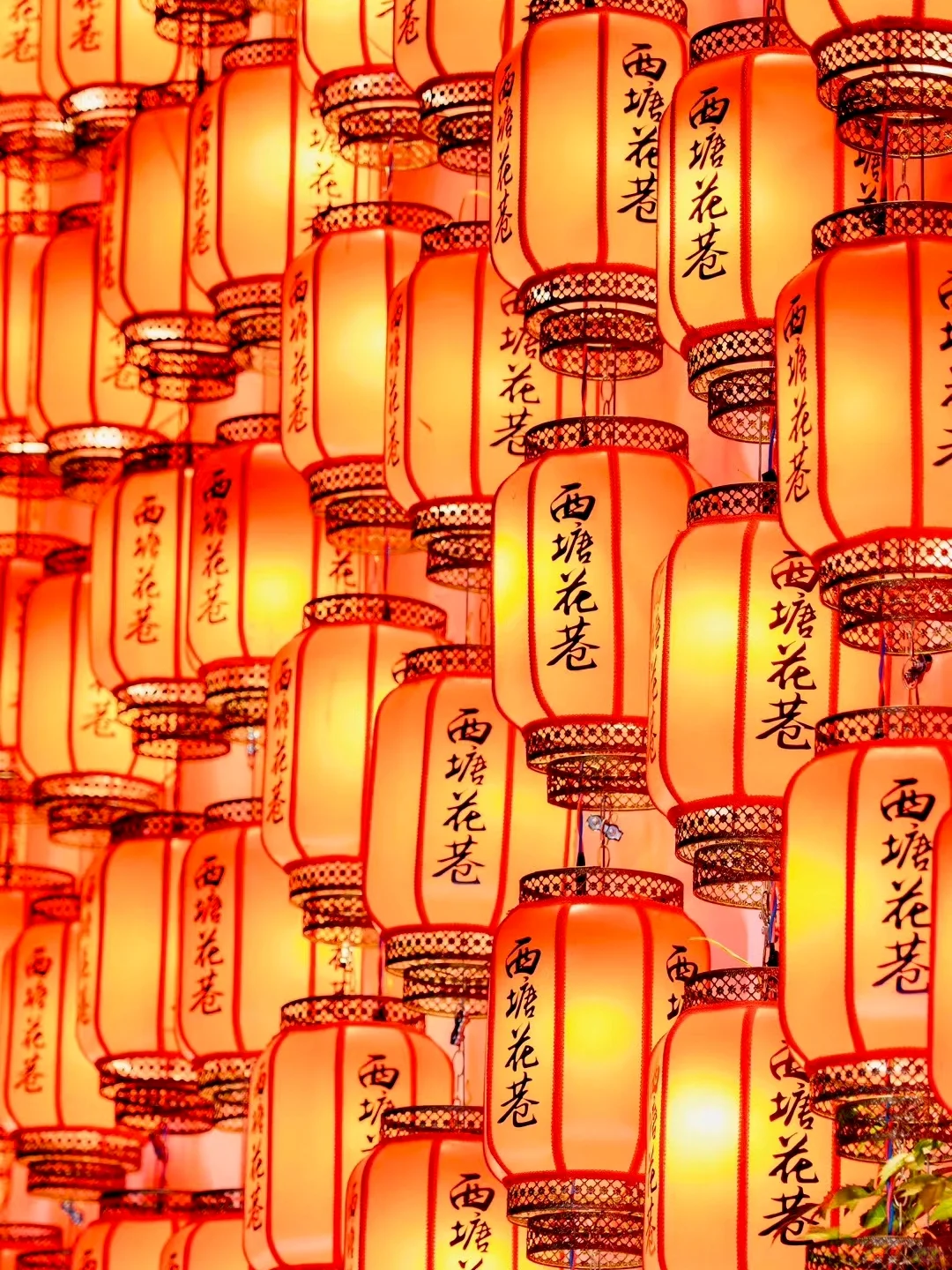 以为乌镇够美了,直到我去了趟西塘…