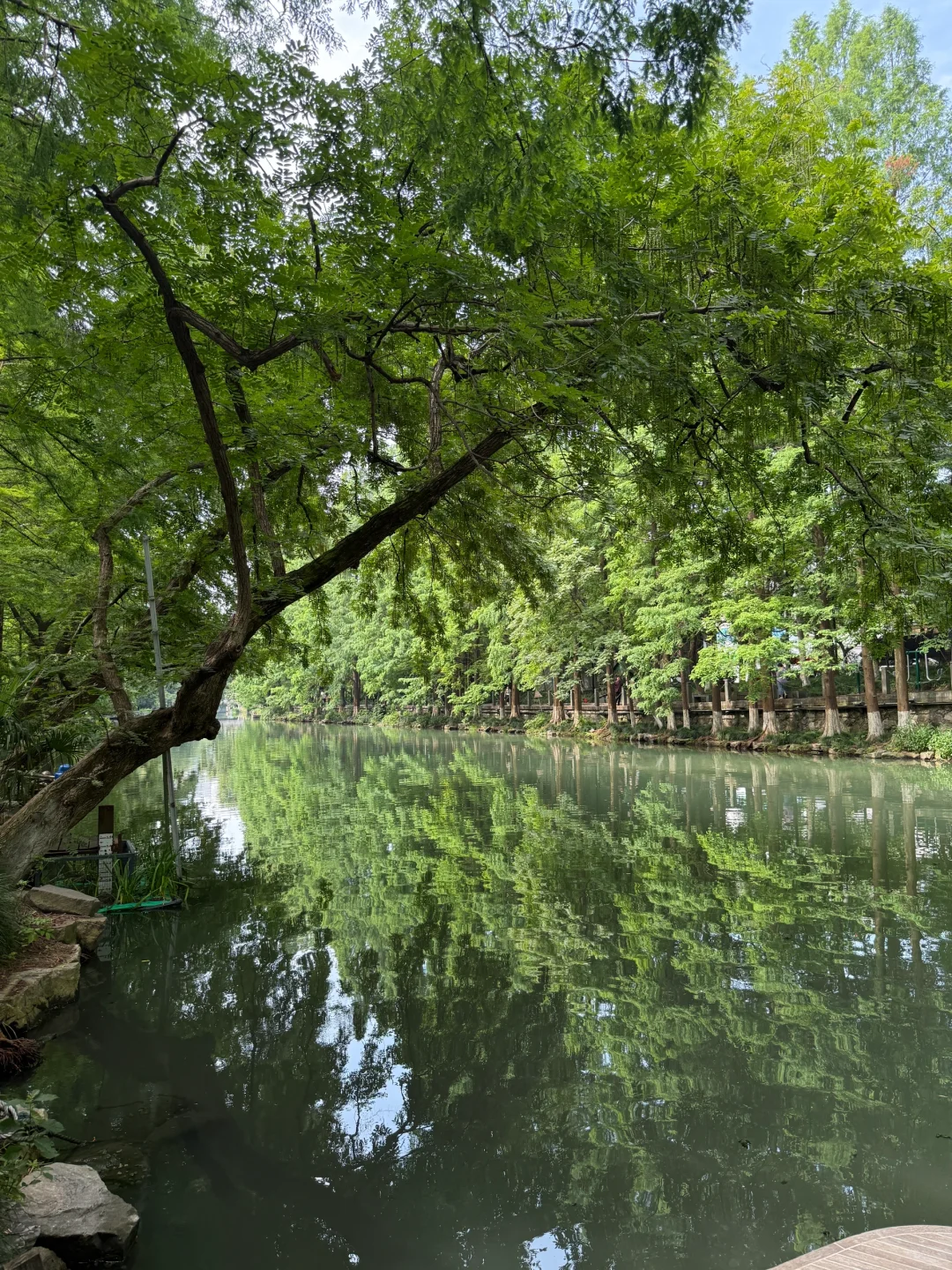 🌲杭州水上巴士｜3元就能体验到的水上江南