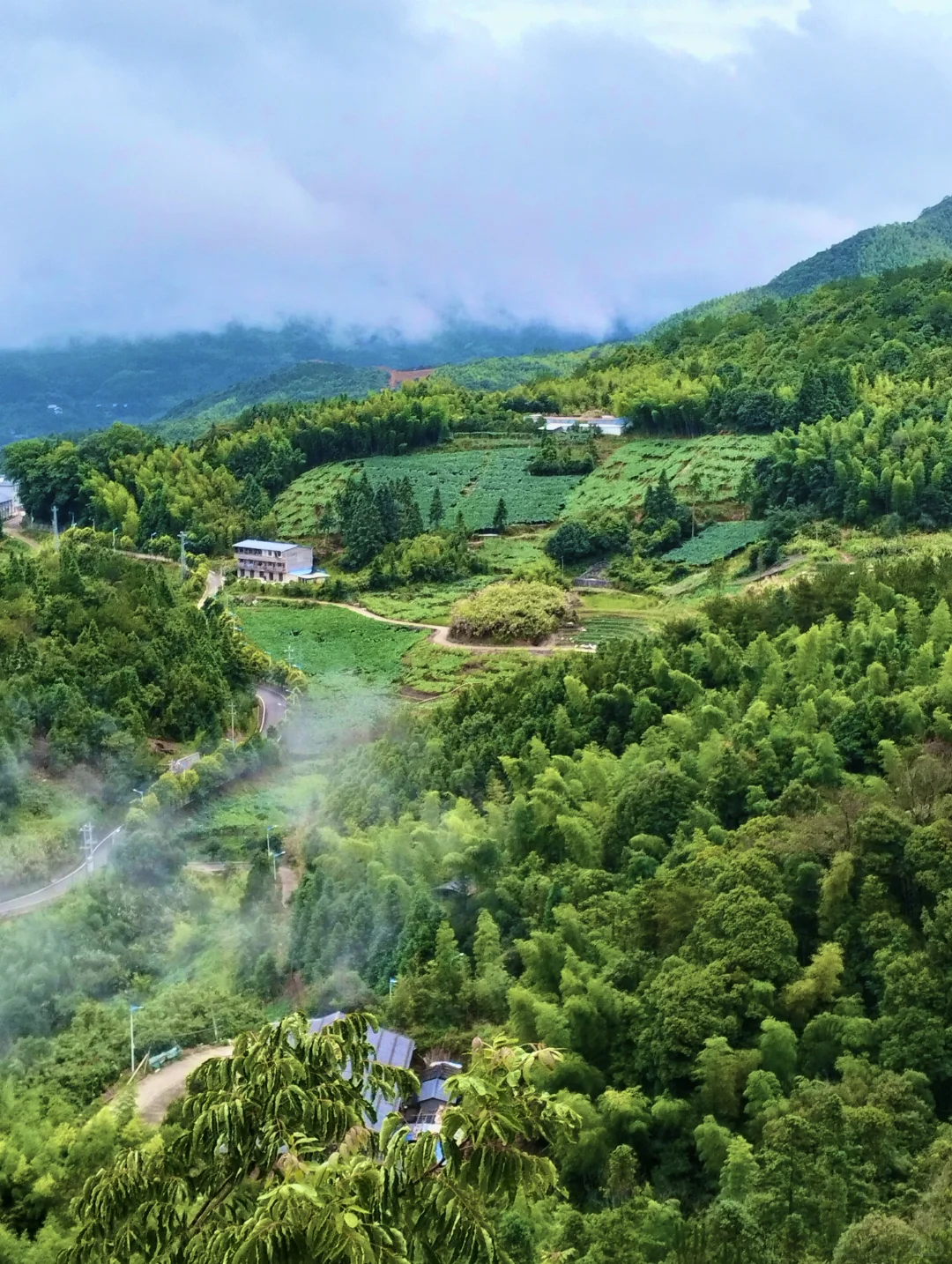 梧溪村,不愧是福建认证的“避暑清凉福地”