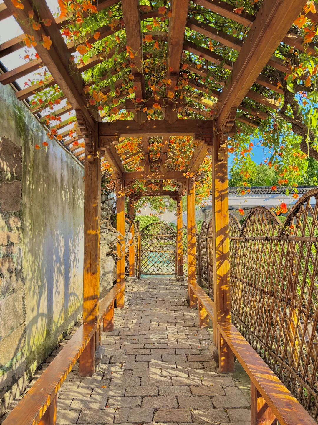 苏州｜1️⃣8️⃣个被问爆机位‼️暑假朋友圈赢麻