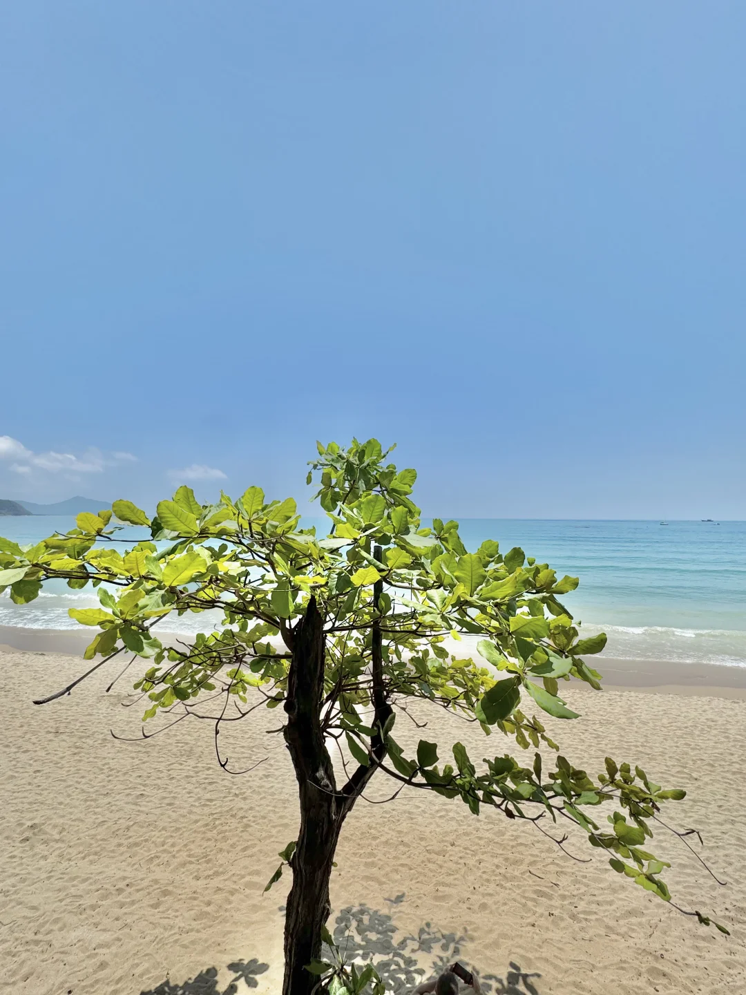 假期旅游！！！🏖️爱死三亚的玻璃海🌊