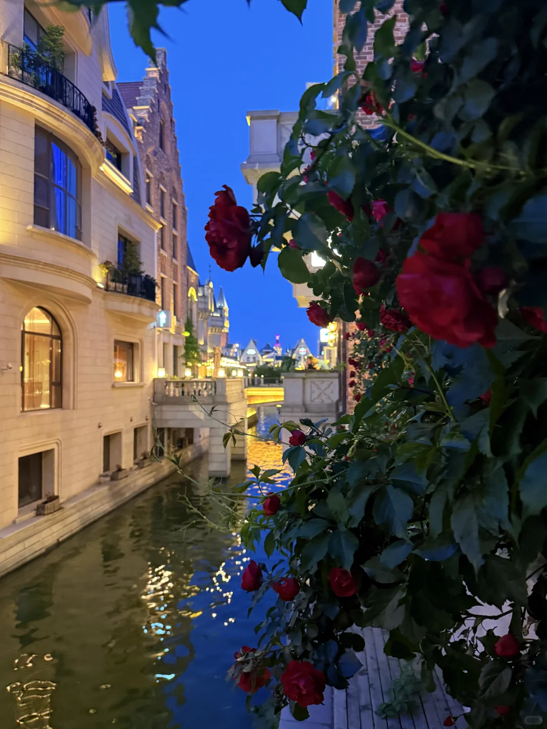 第一次去大连，直接复制这条路线‼️