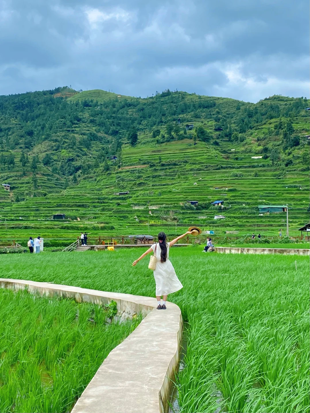 我好像在贵州…🌿闯进千与千寻的漫画夏天!!