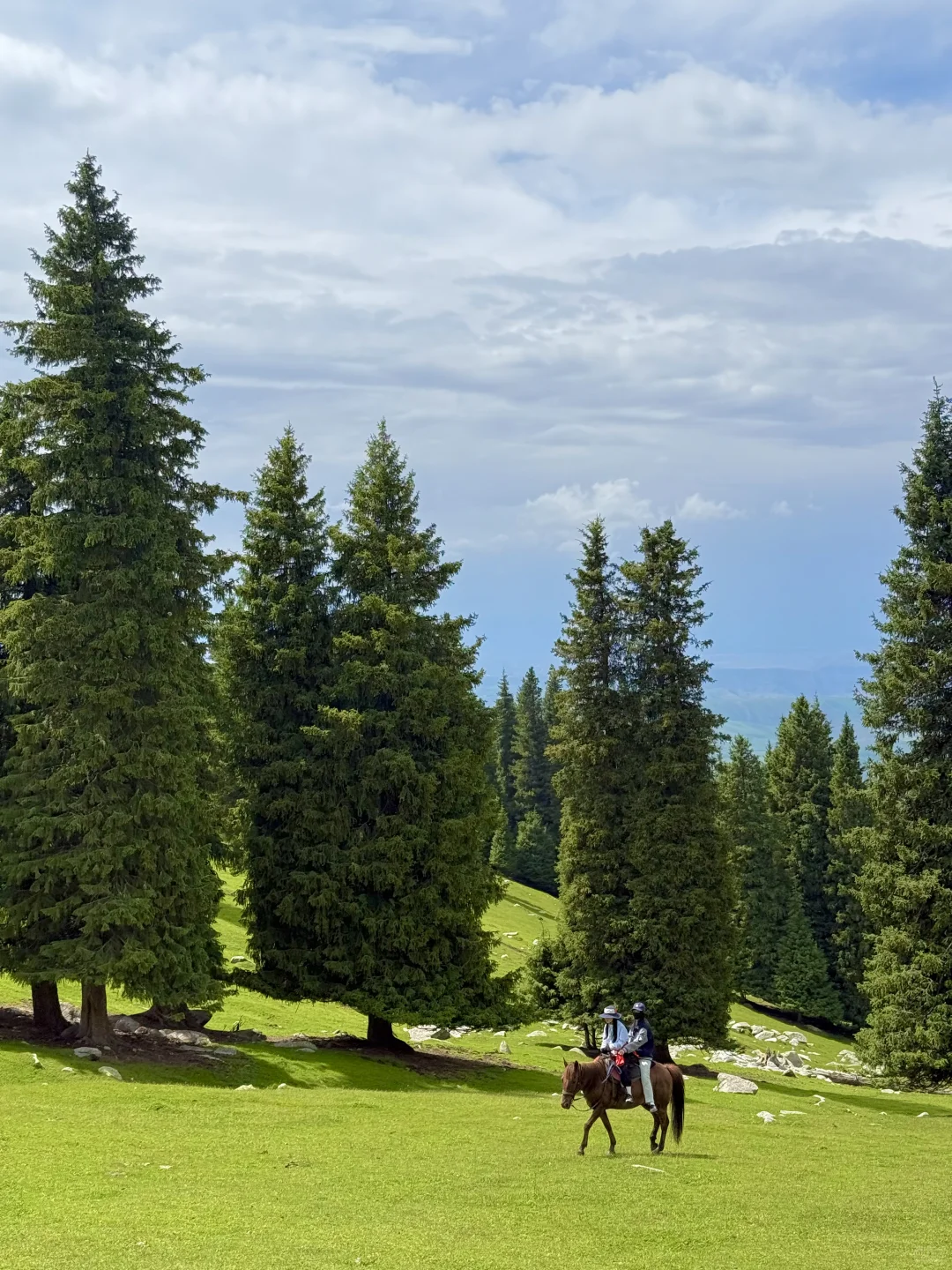 超详细！绝美小众不挤人！新疆暑期旅游攻略📒