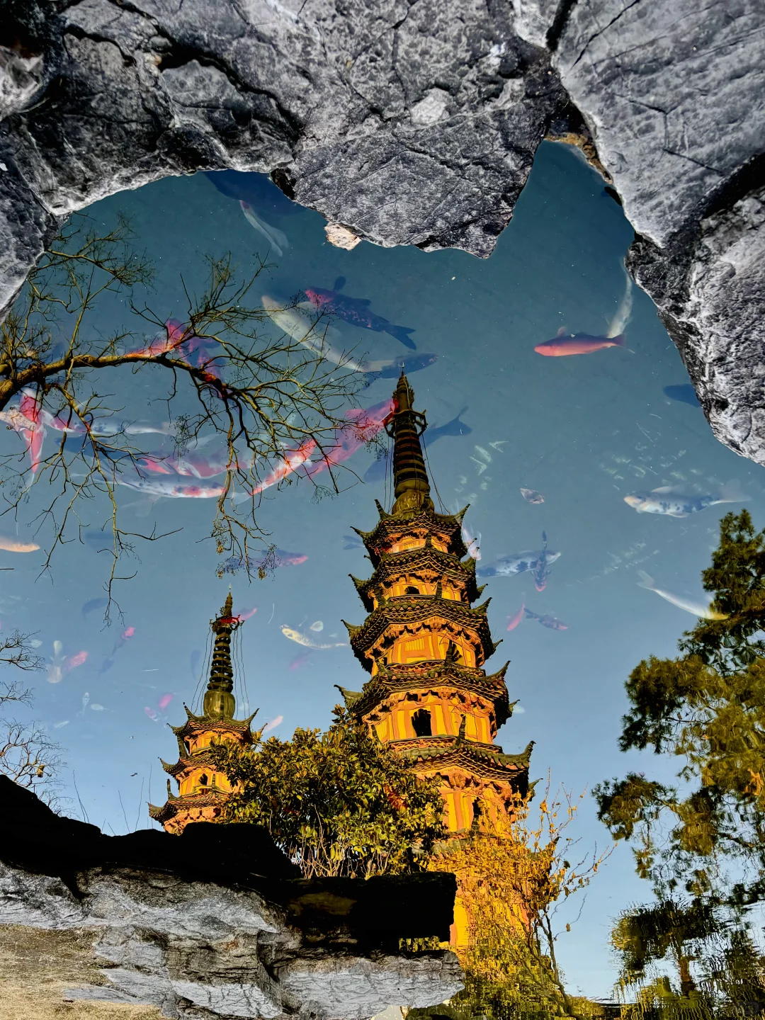 苏州｜1️⃣8️⃣个被问爆机位‼️暑假朋友圈赢麻