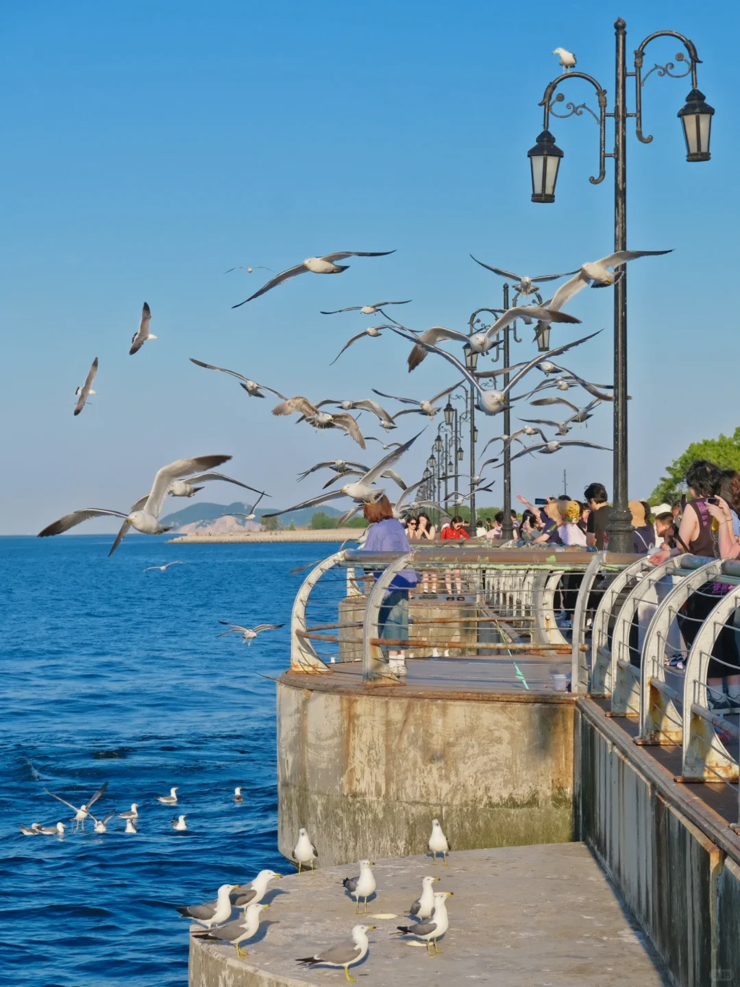 第一次去大连，直接复制这条路线‼️