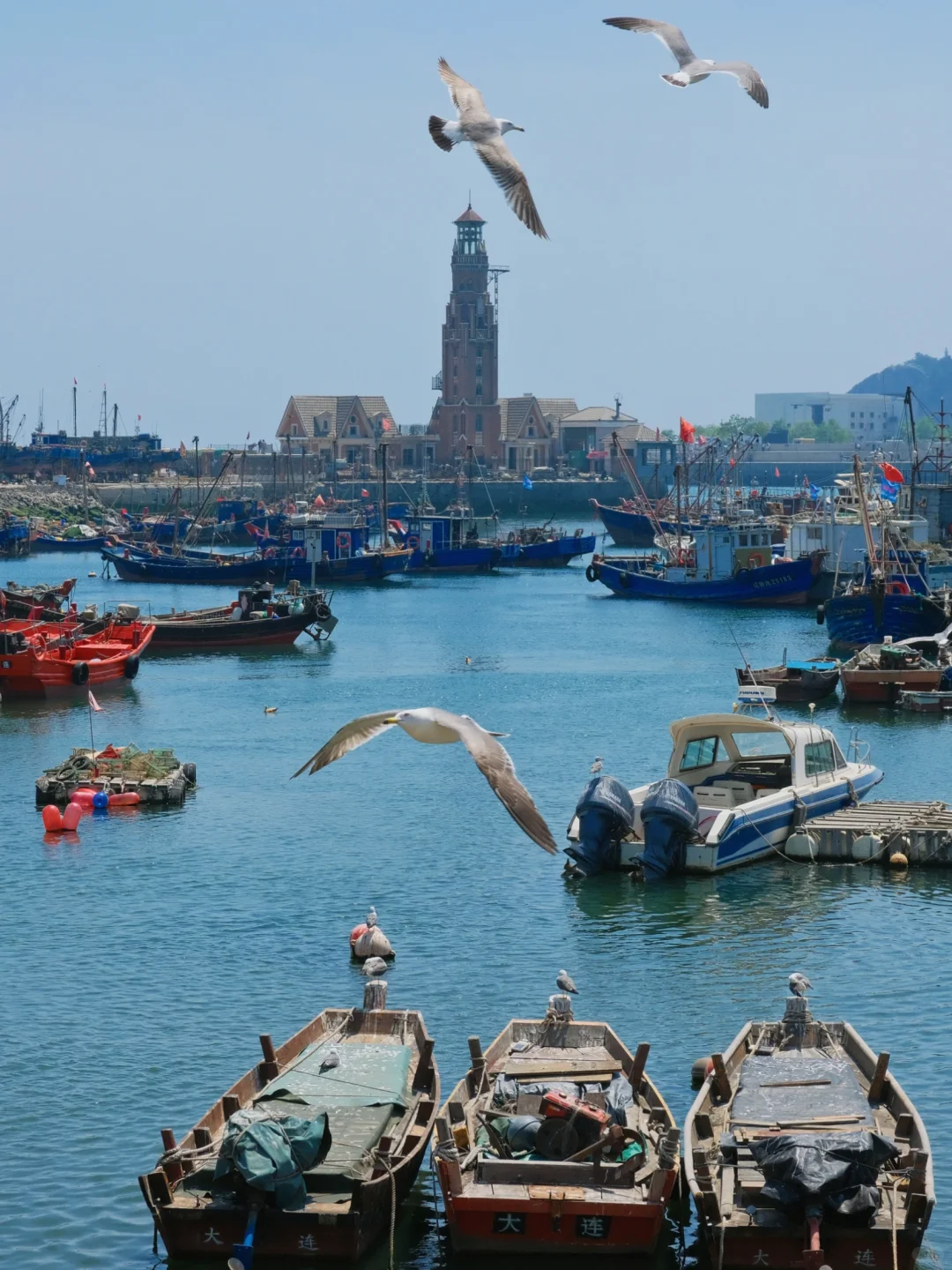 第一次去大连，直接复制这条路线‼️