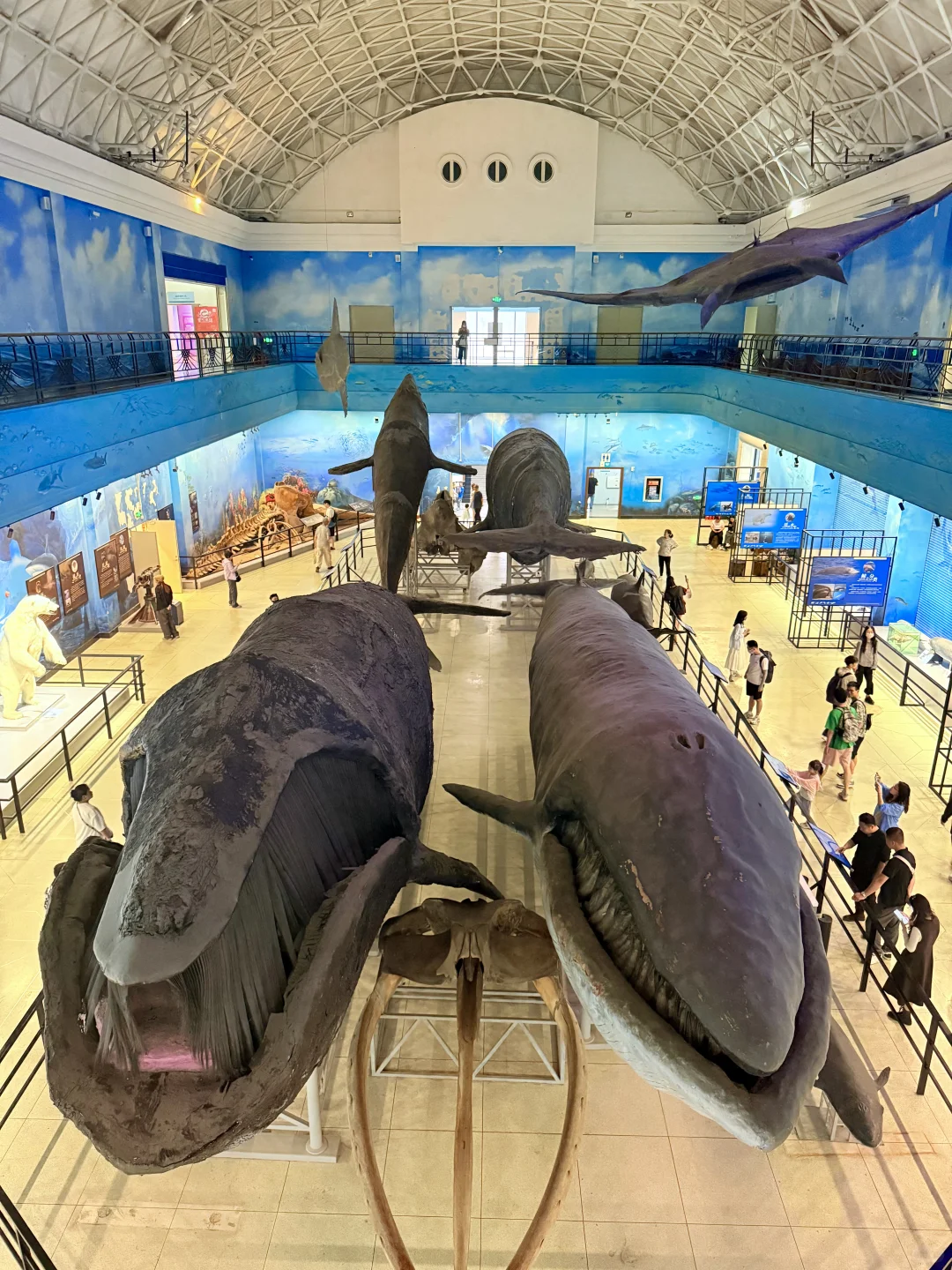 第一次去大连，直接复制这条路线‼️