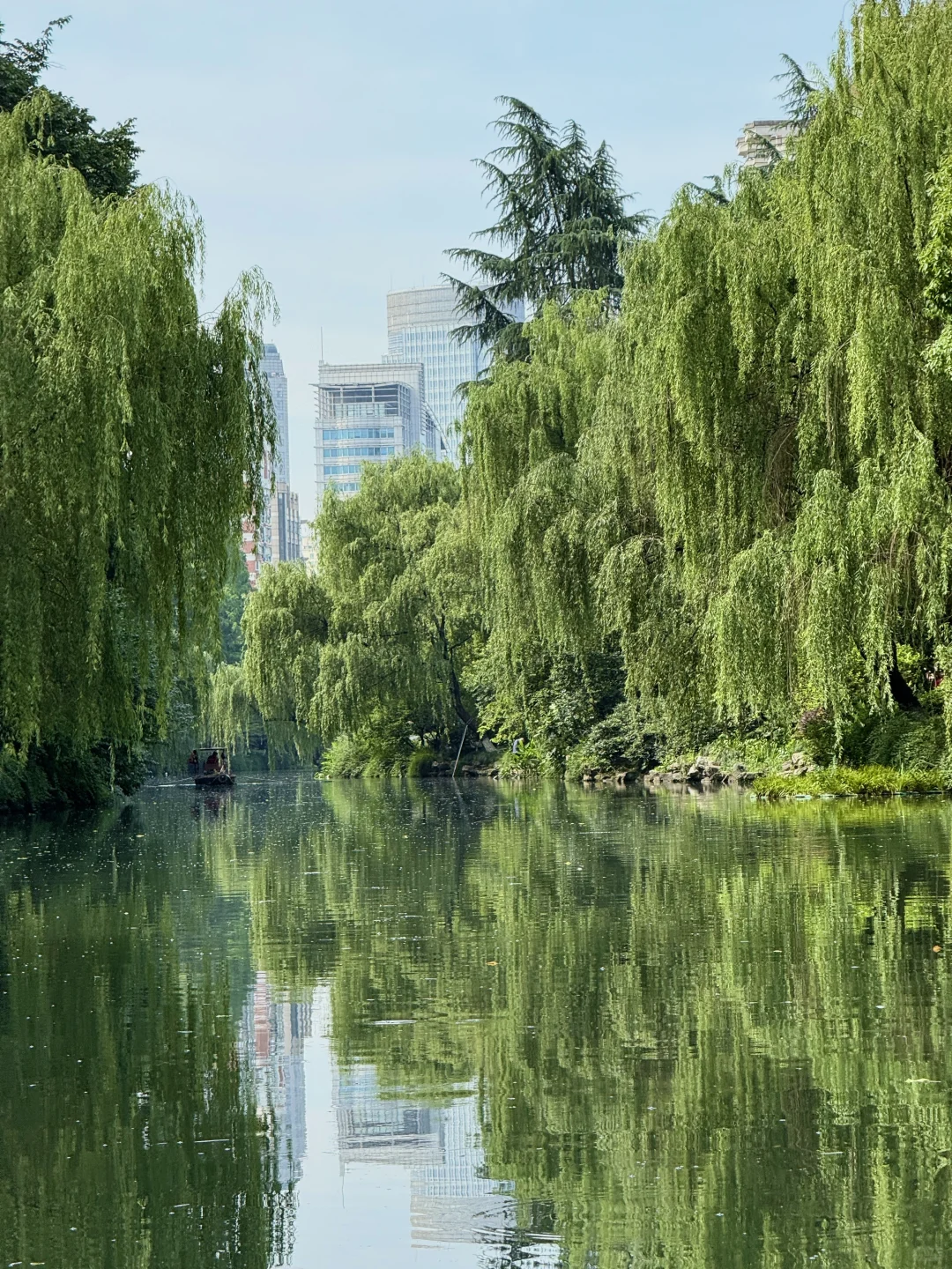 🌲杭州水上巴士｜3元就能体验到的水上江南