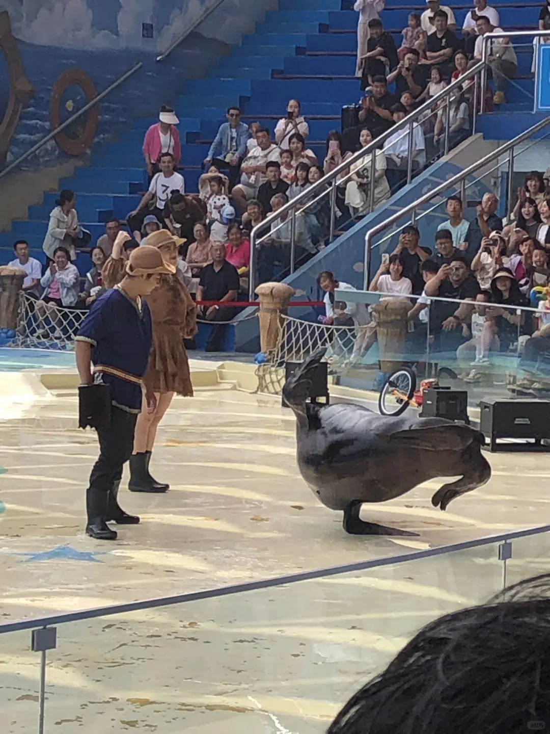 咱就说说青岛吧！四天三晚的全网最省钱攻略