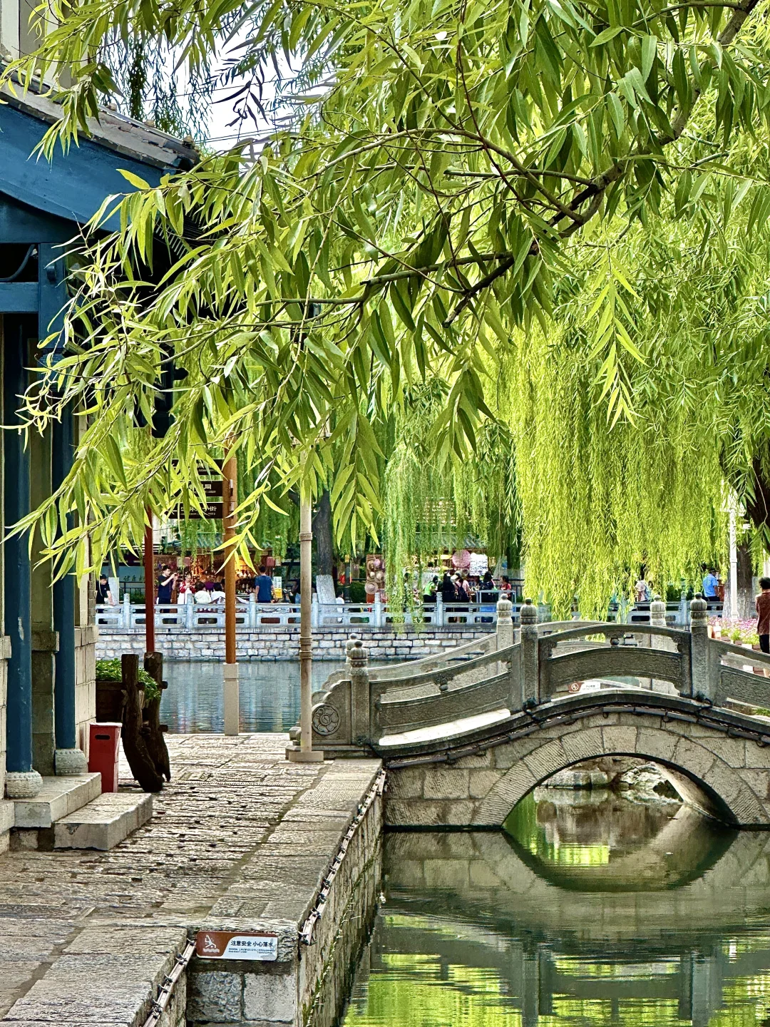 在济南走一种很新的city泉水walk(附路线)