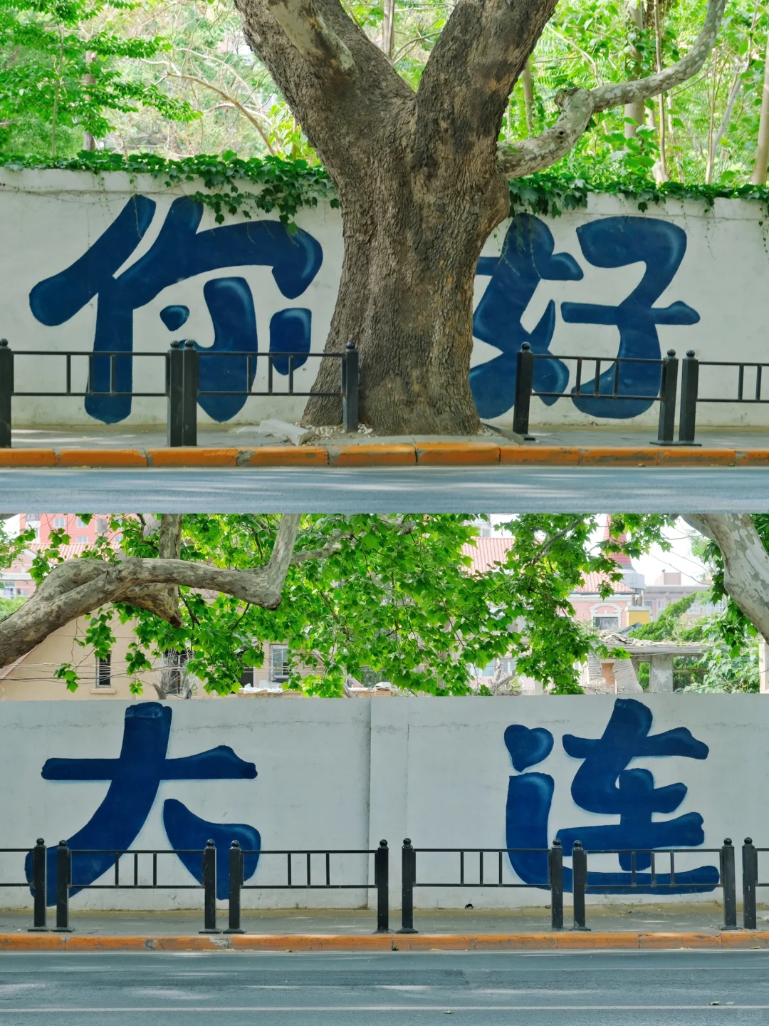 第一次去大连，直接复制这条路线‼️