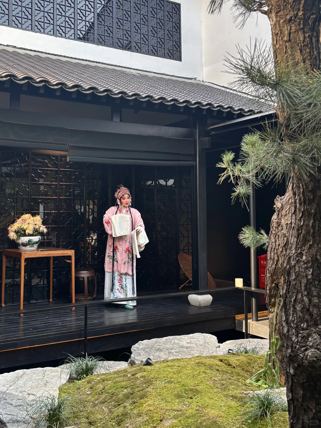 苏州｜1️⃣8️⃣个被问爆机位‼️暑假朋友圈赢麻