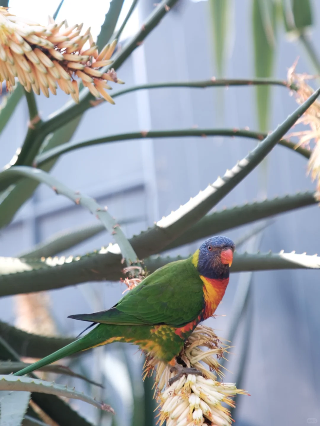 18岁的我从没想过自己以后能在国外赚钱旅居