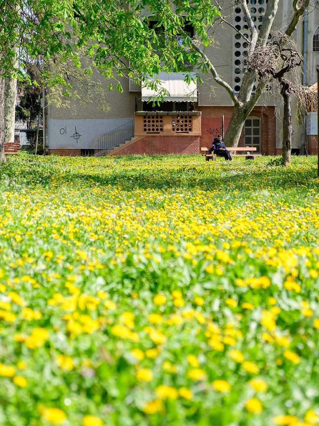 去欧洲选了塞尔维亚,免签太香了!