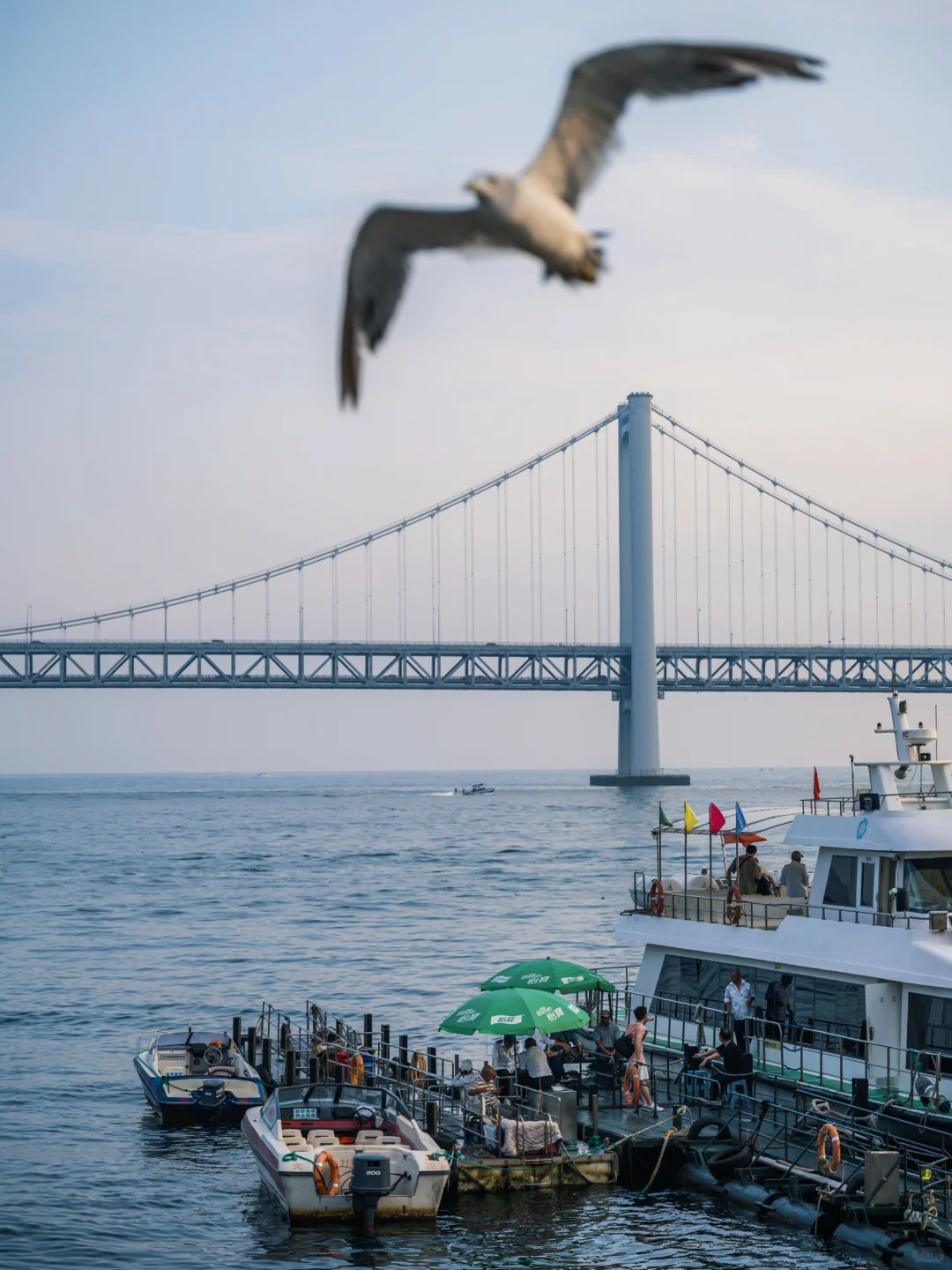 迄今为止，去过最舒服的海滨城市出现了‼️