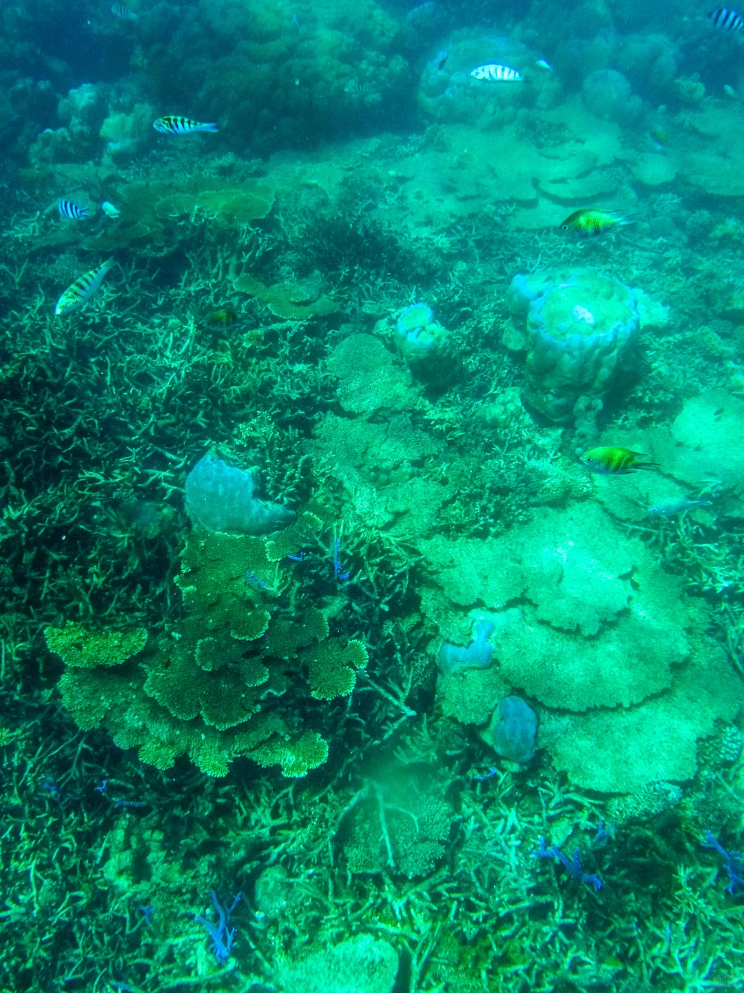 不输马尔代夫😭迄今为止,我Z爱的小众海岛