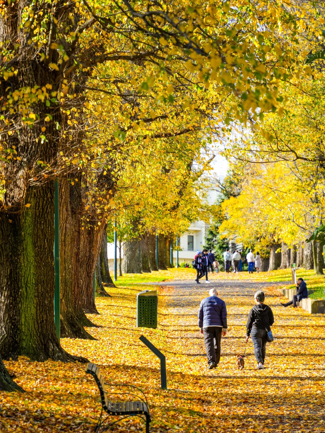 墨尔本完全就是现实版疯狂动物城吧！！！