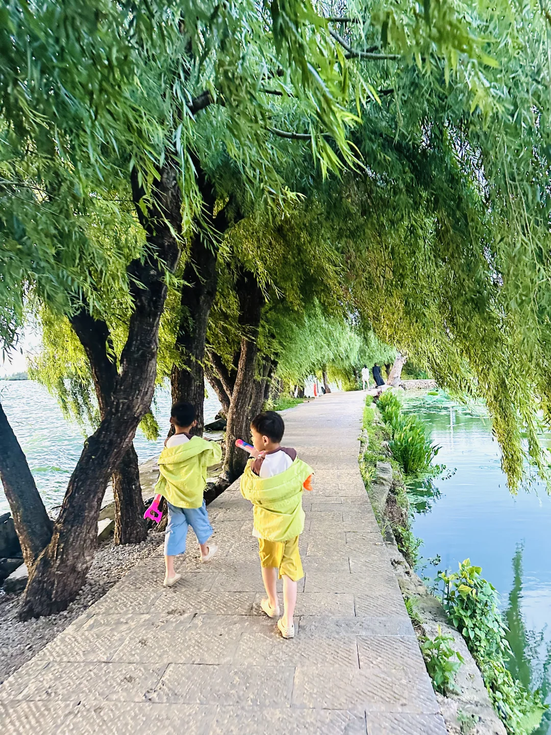 给昆明多留一天简直惊为天人！攻略丝滑哭了