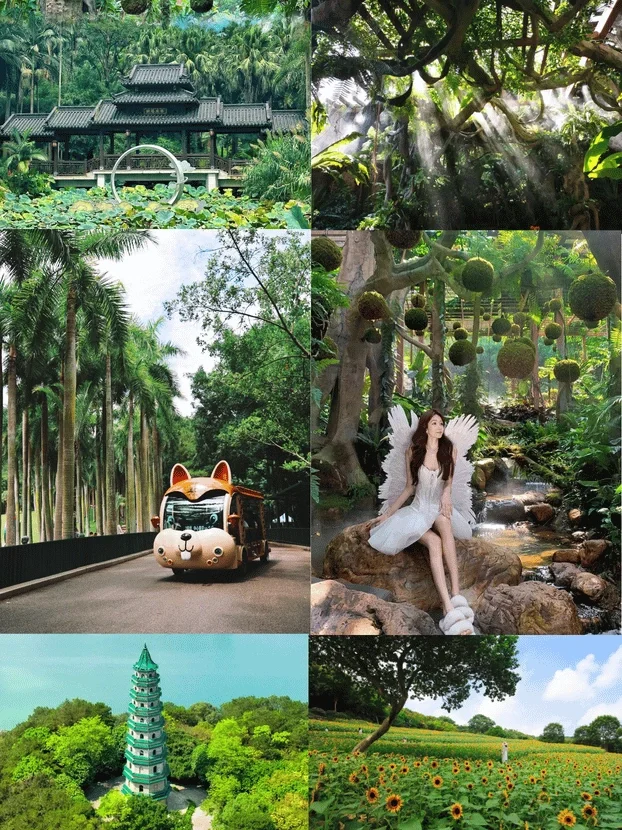 南宁值得吃！来南宁旅游必看攻略