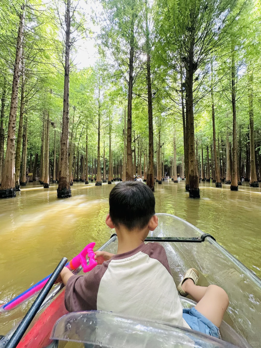 给昆明多留一天简直惊为天人！攻略丝滑哭了
