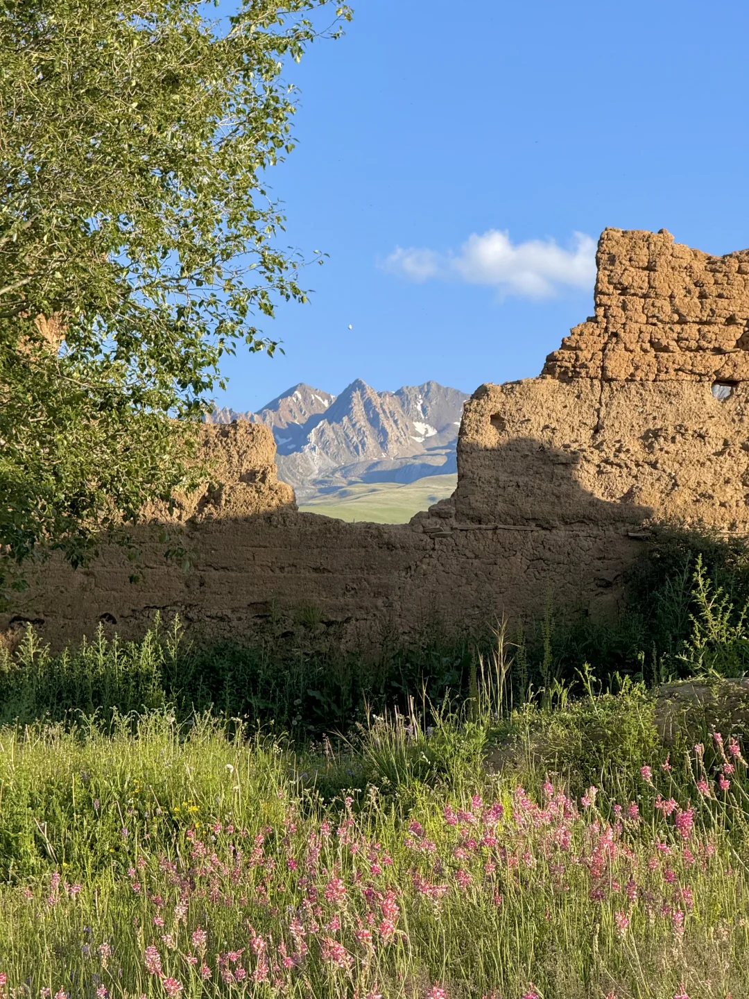 这就是，川西夏天的含金量live