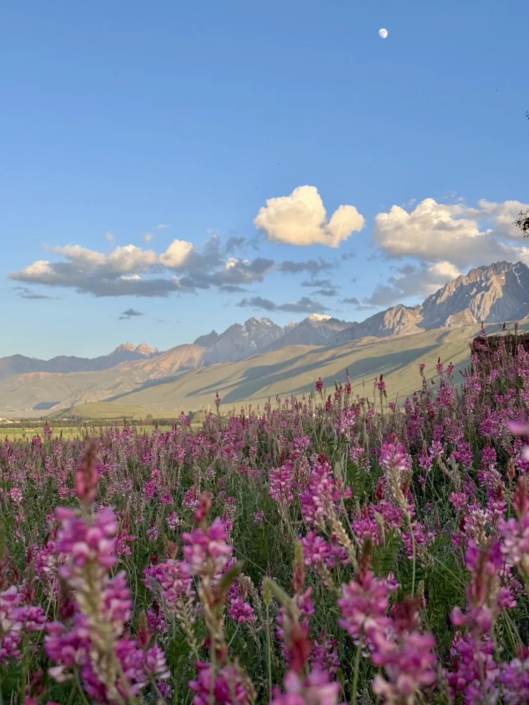 这就是，川西夏天的含金量live
