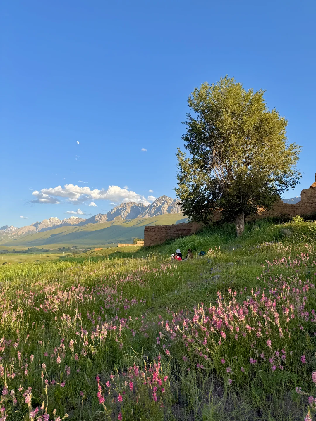 这就是，川西夏天的含金量live