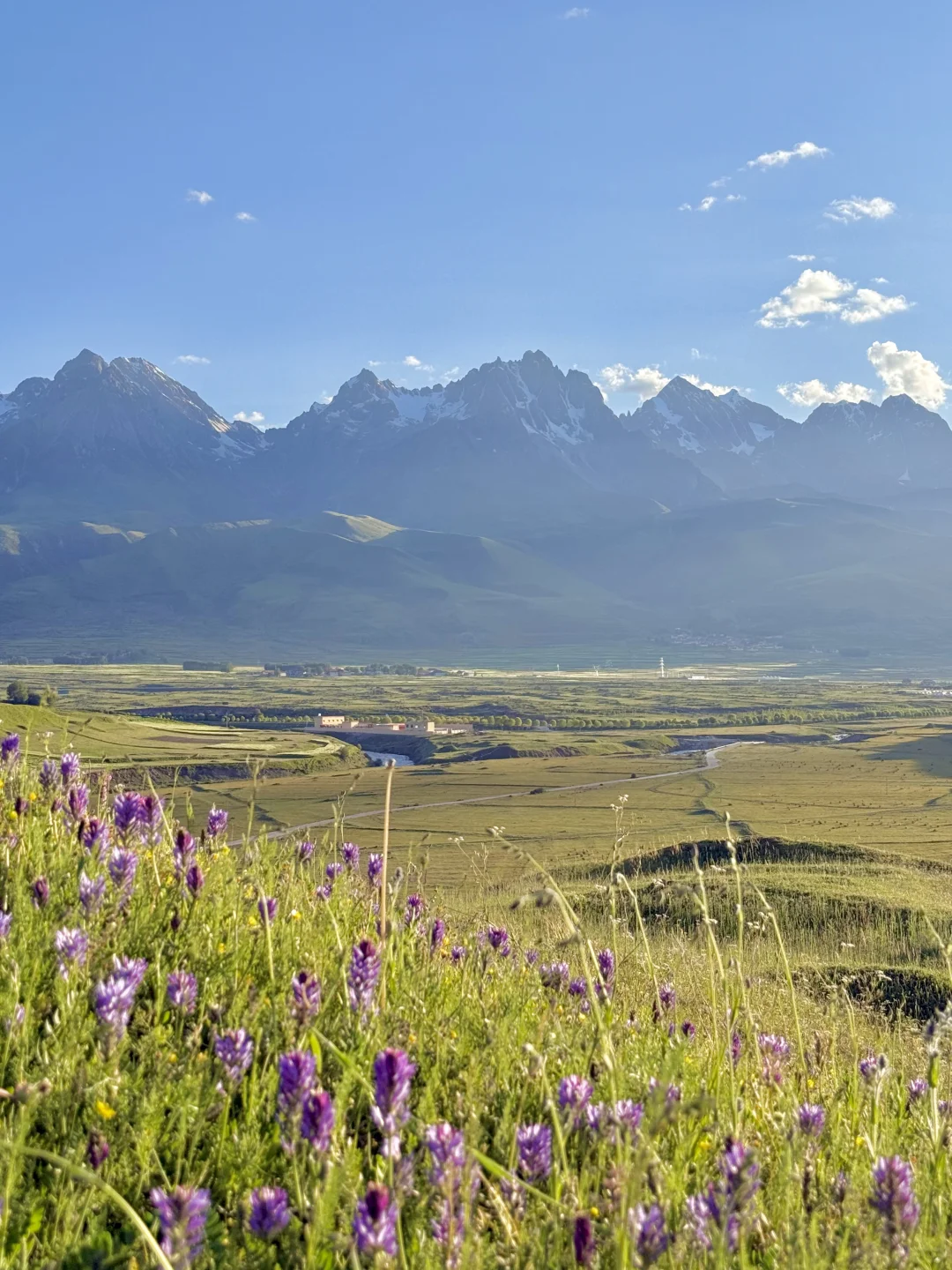 这就是，川西夏天的含金量live
